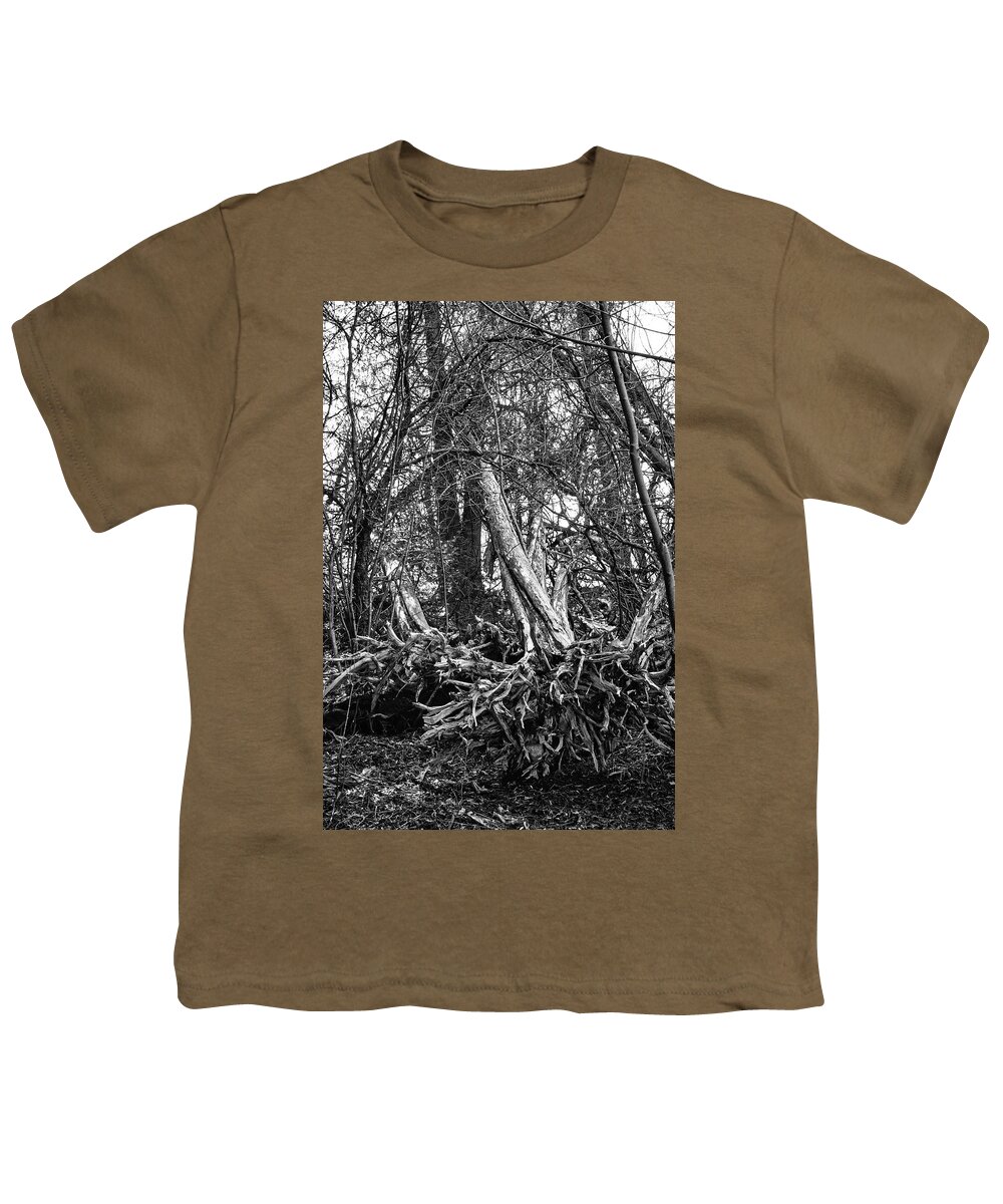 Amazing Chaos Tree Roots Youth T-Shirt featuring the photograph Falling tree by Nick Mares