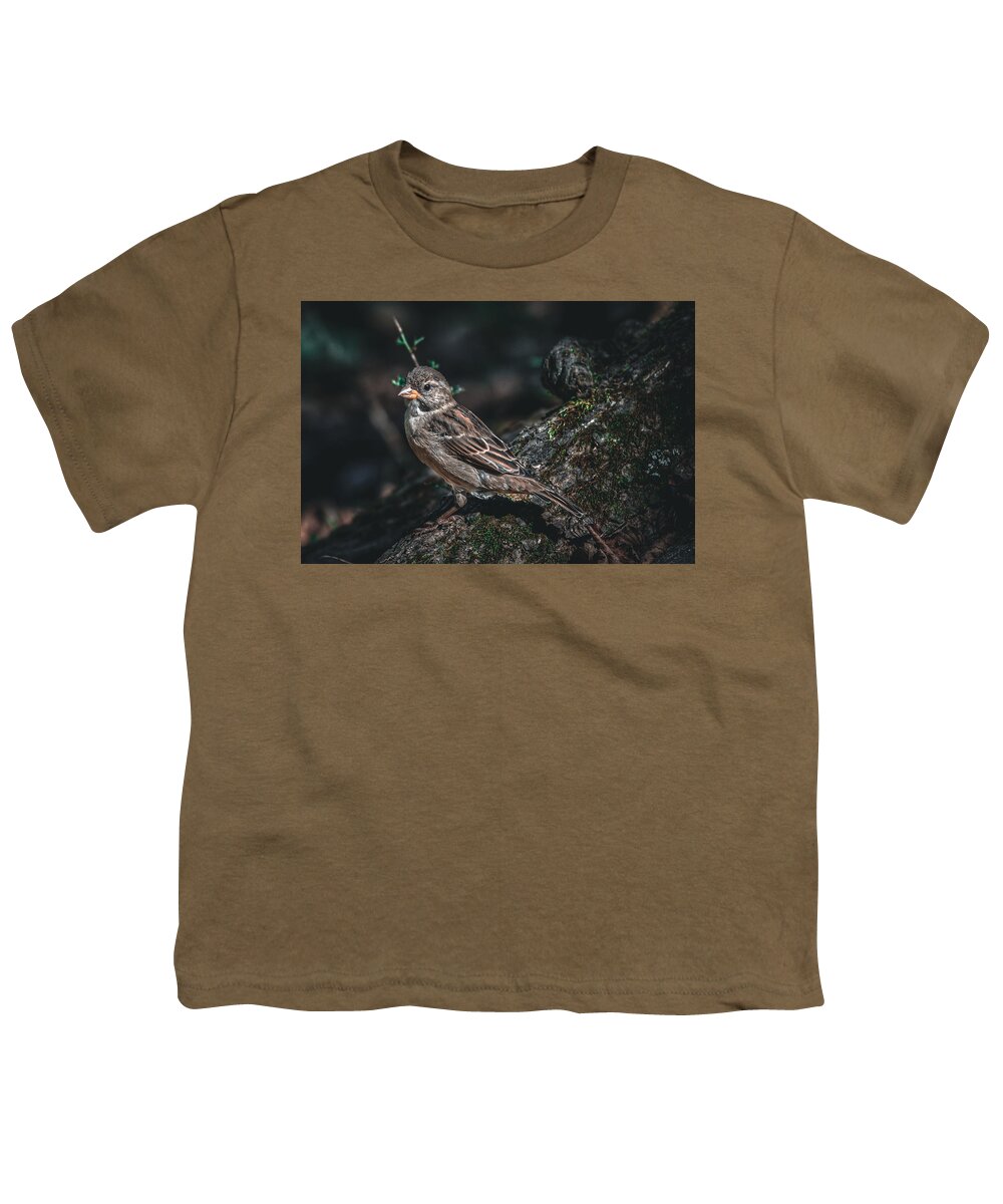 Photo Youth T-Shirt featuring the photograph Female House Finch on Log by Evan Foster