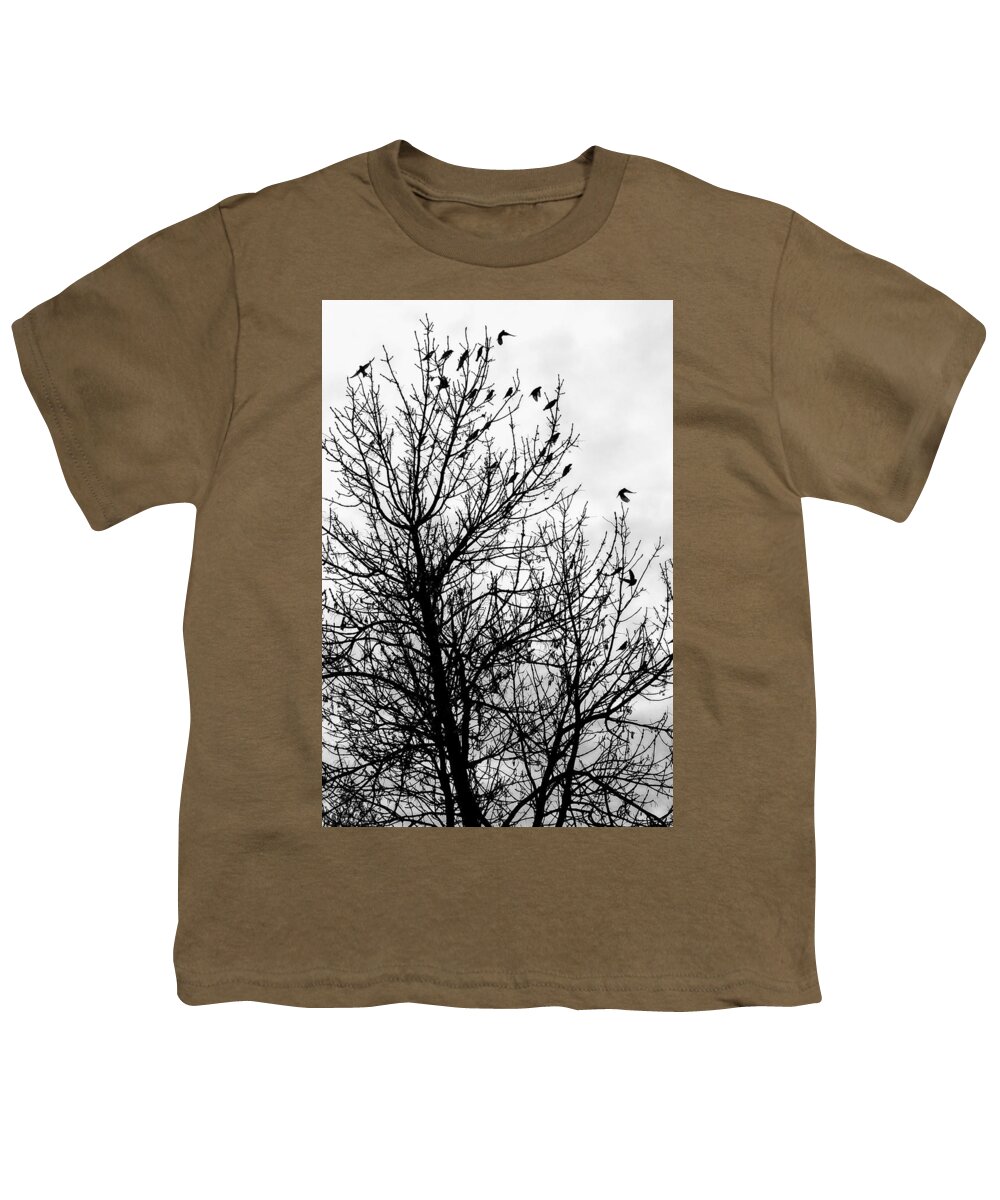 Birds Youth T-Shirt featuring the photograph Fly Away Birds by Amanda R Wright