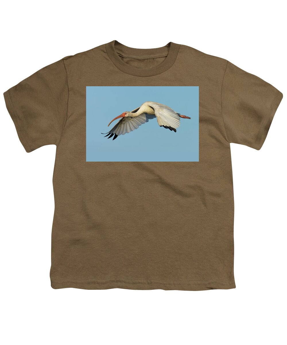 American White Ibis Youth T-Shirt featuring the photograph Flying Ibis - Up Close by RD Allen