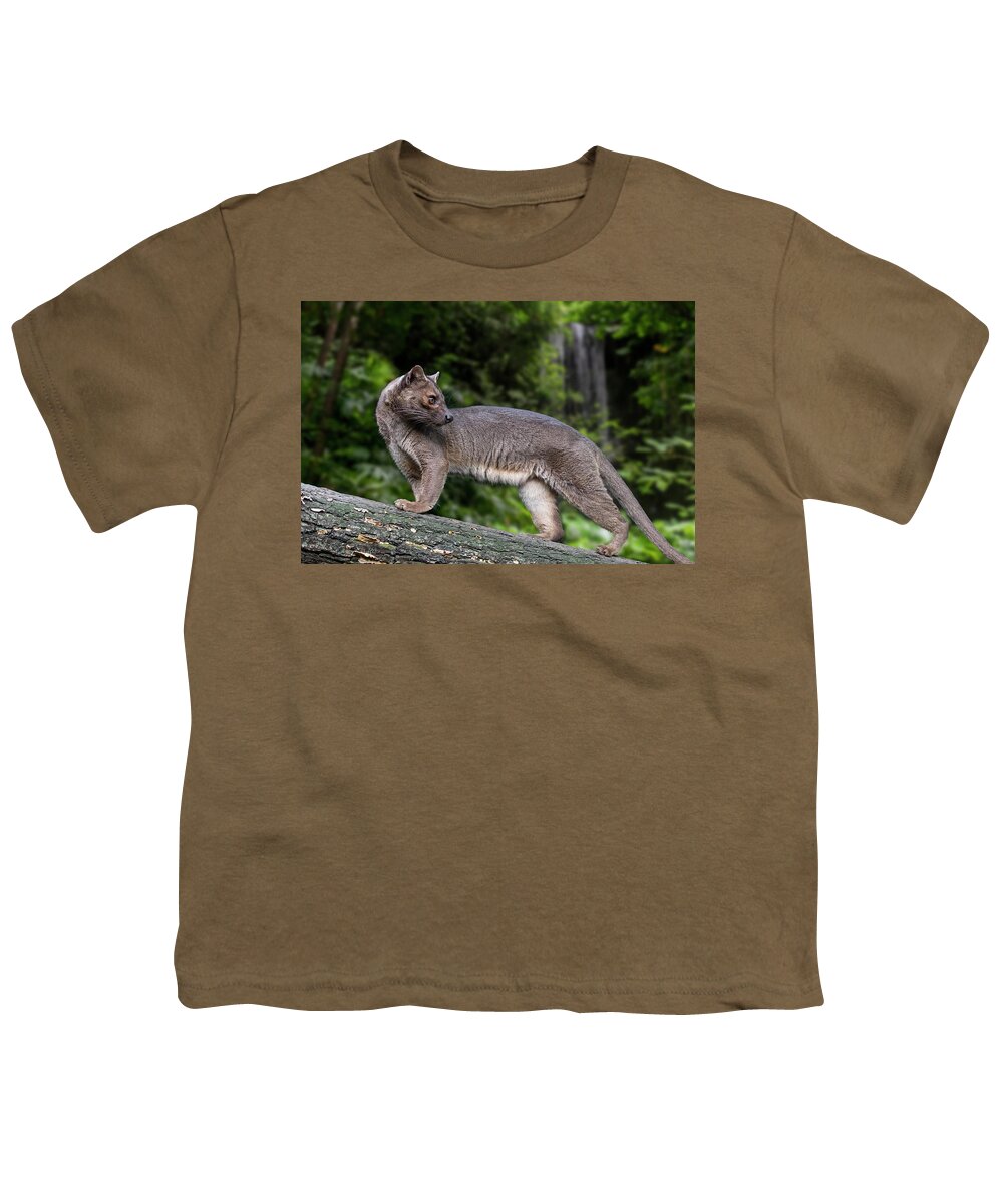 Fossa Youth T-Shirt featuring the photograph Fossa by Arterra Picture Library