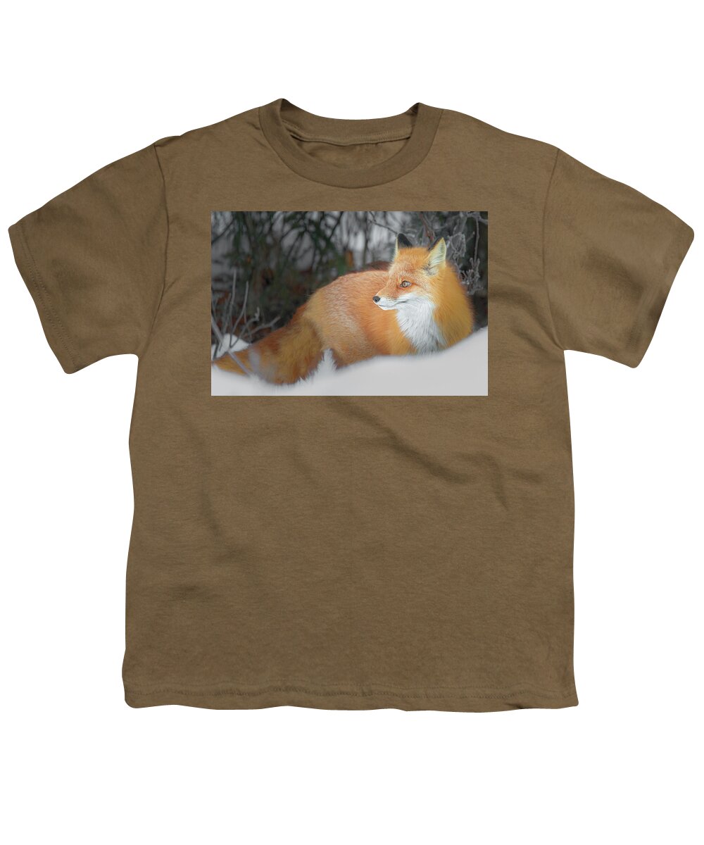 (vulpes Vulpes) Youth T-Shirt featuring the photograph Fox in the Woods by James Capo