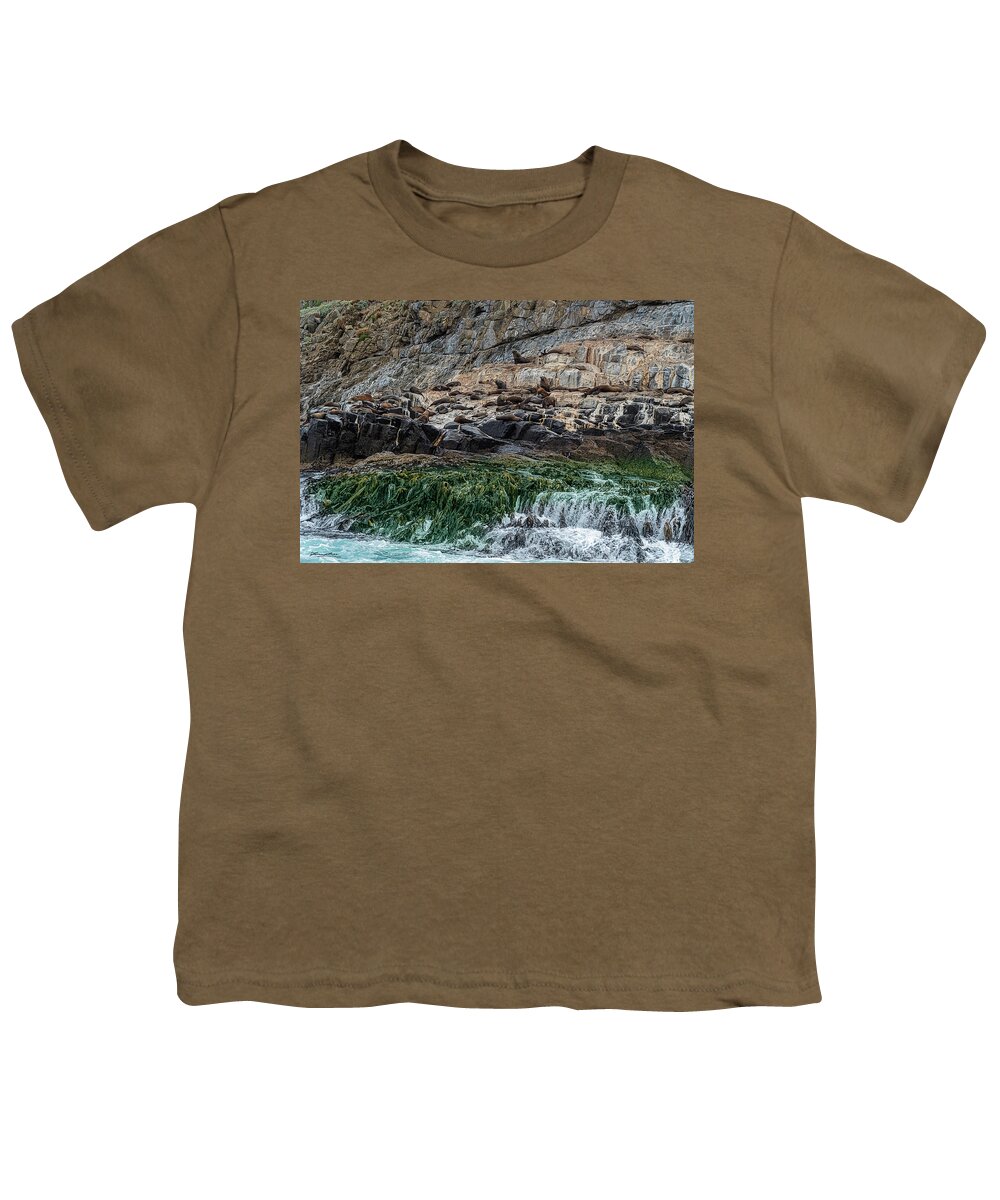Australia Youth T-Shirt featuring the photograph Fur Seals on The Friars, Bruny Island, Tasmania, Australia by Frank Lee