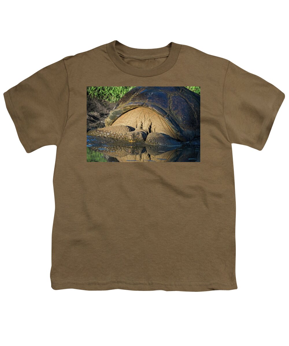 Galapagos Youth T-Shirt featuring the photograph Galapagos Giant Tortoise in the Mud by Joan Carroll