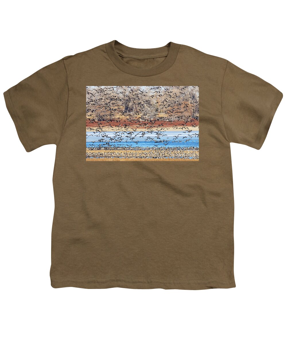 Geese Youth T-Shirt featuring the photograph Geese at Barr Lake by Steven Krull