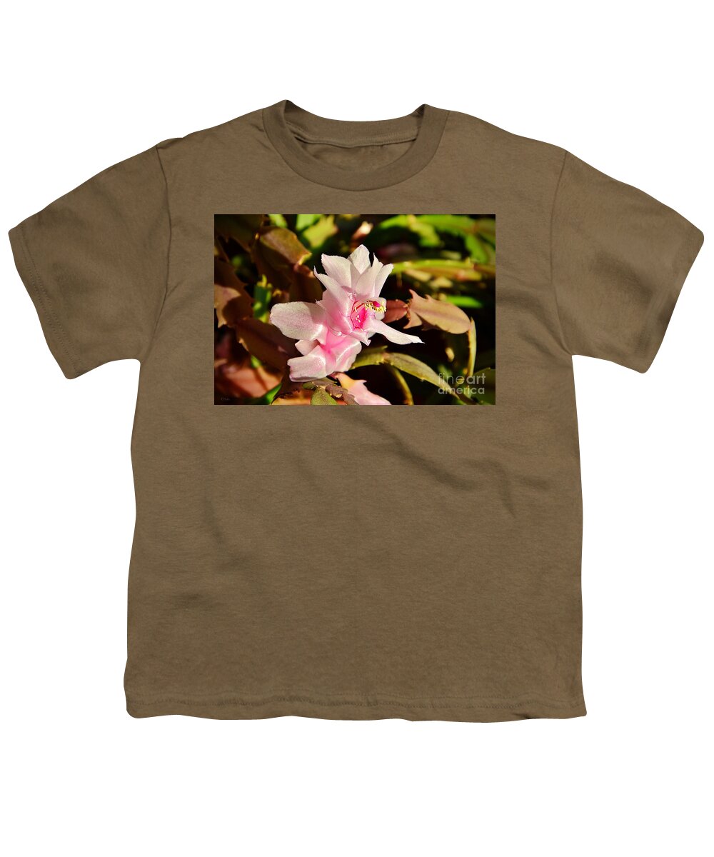 Christmas Cactus Youth T-Shirt featuring the photograph Gentle pink by Ramona Matei