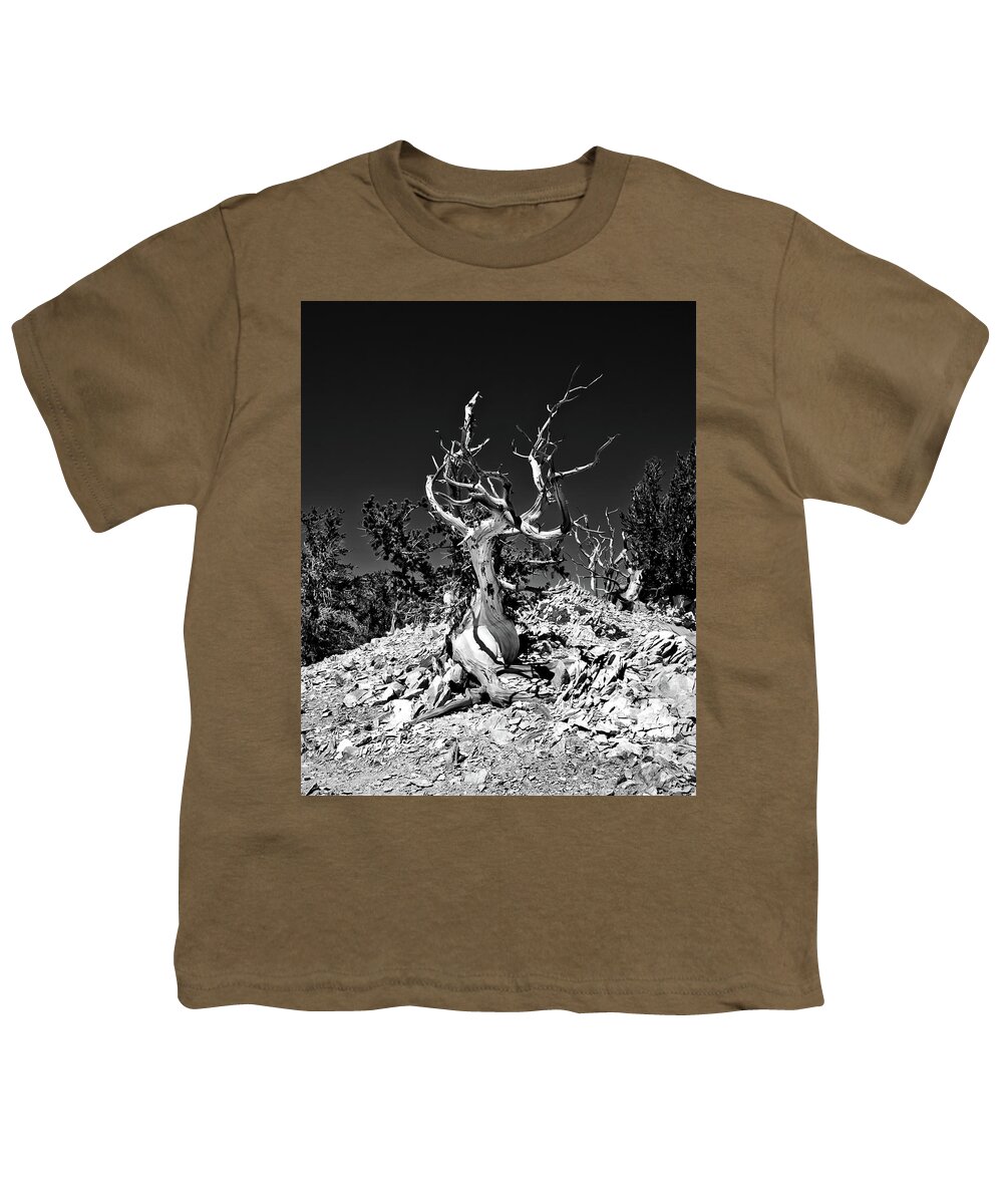 Ca Youth T-Shirt featuring the photograph Gnarled Reach by American Landscapes
