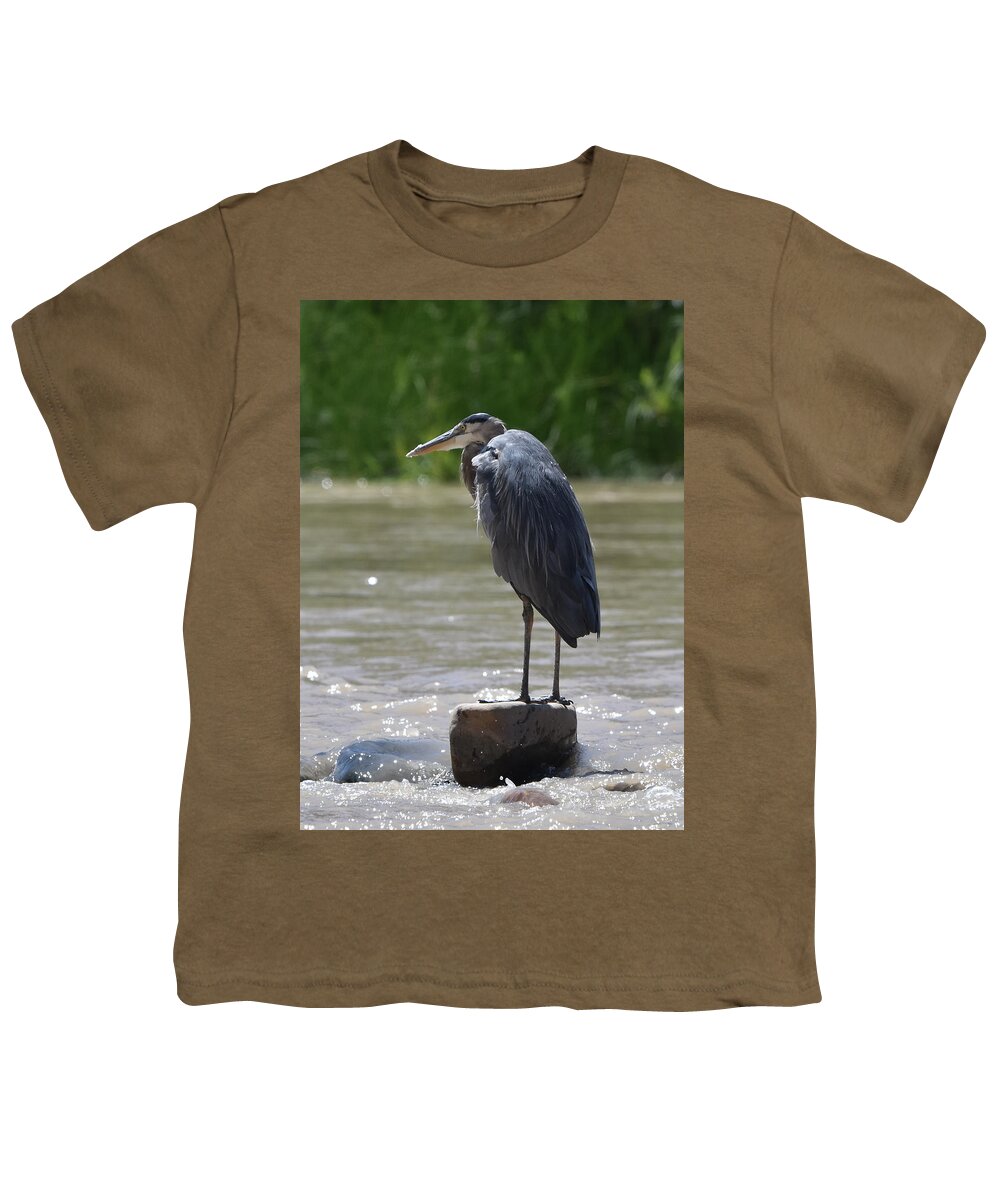 Heron Youth T-Shirt featuring the photograph Great Blue Heron Standing Watch on the River by Ben Foster