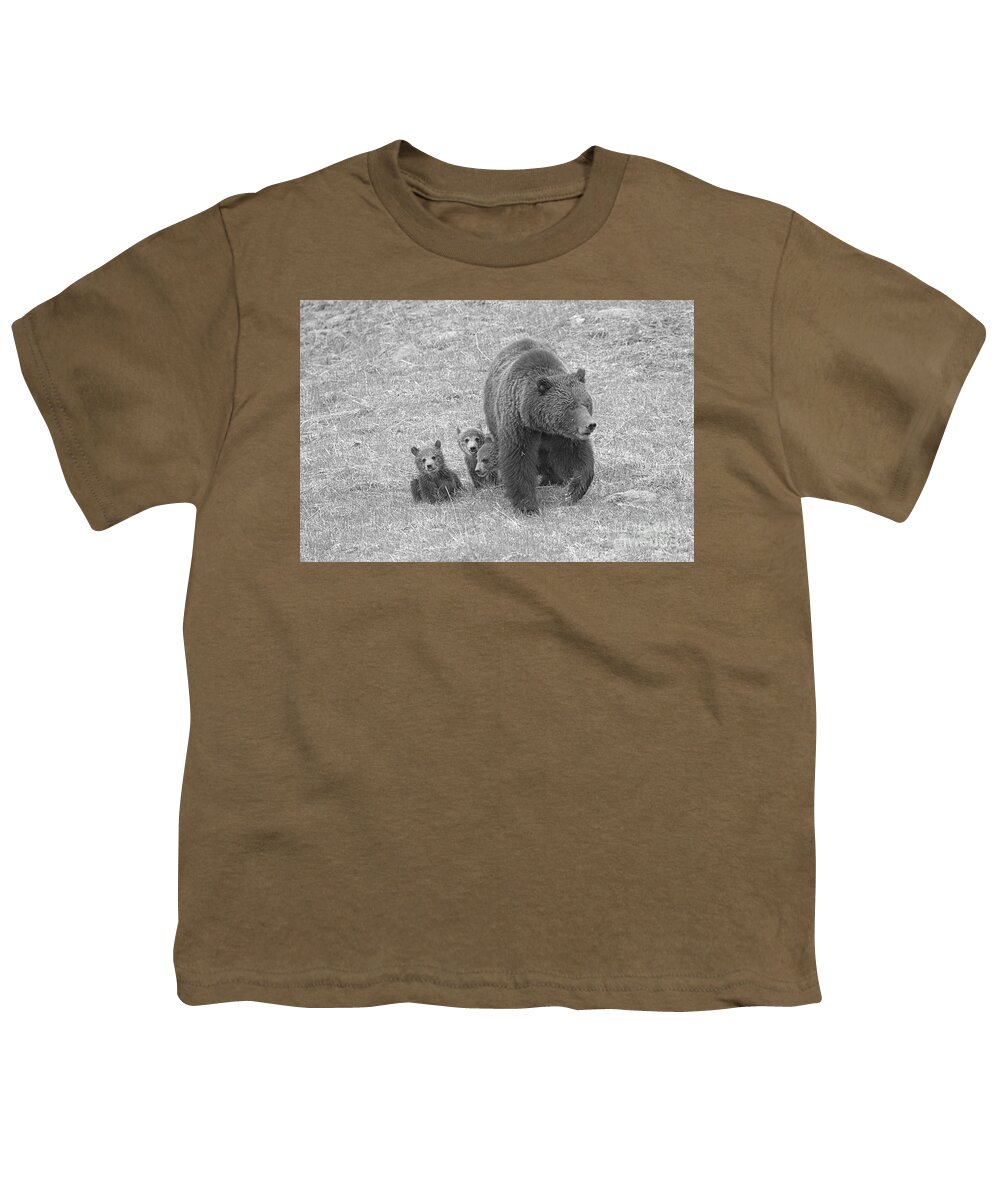 Grizzly Youth T-Shirt featuring the photograph Grizzly Family Hike Black And Whte by Adam Jewell