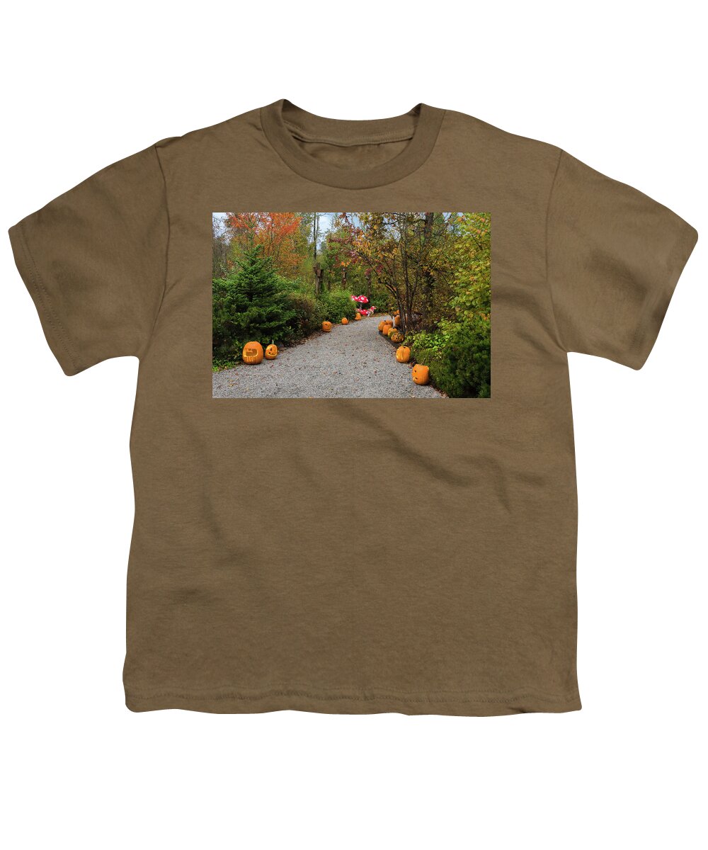 Alex Lyubar Youth T-Shirt featuring the photograph Halloween Pumpkins on the gravel trail by Alex Lyubar