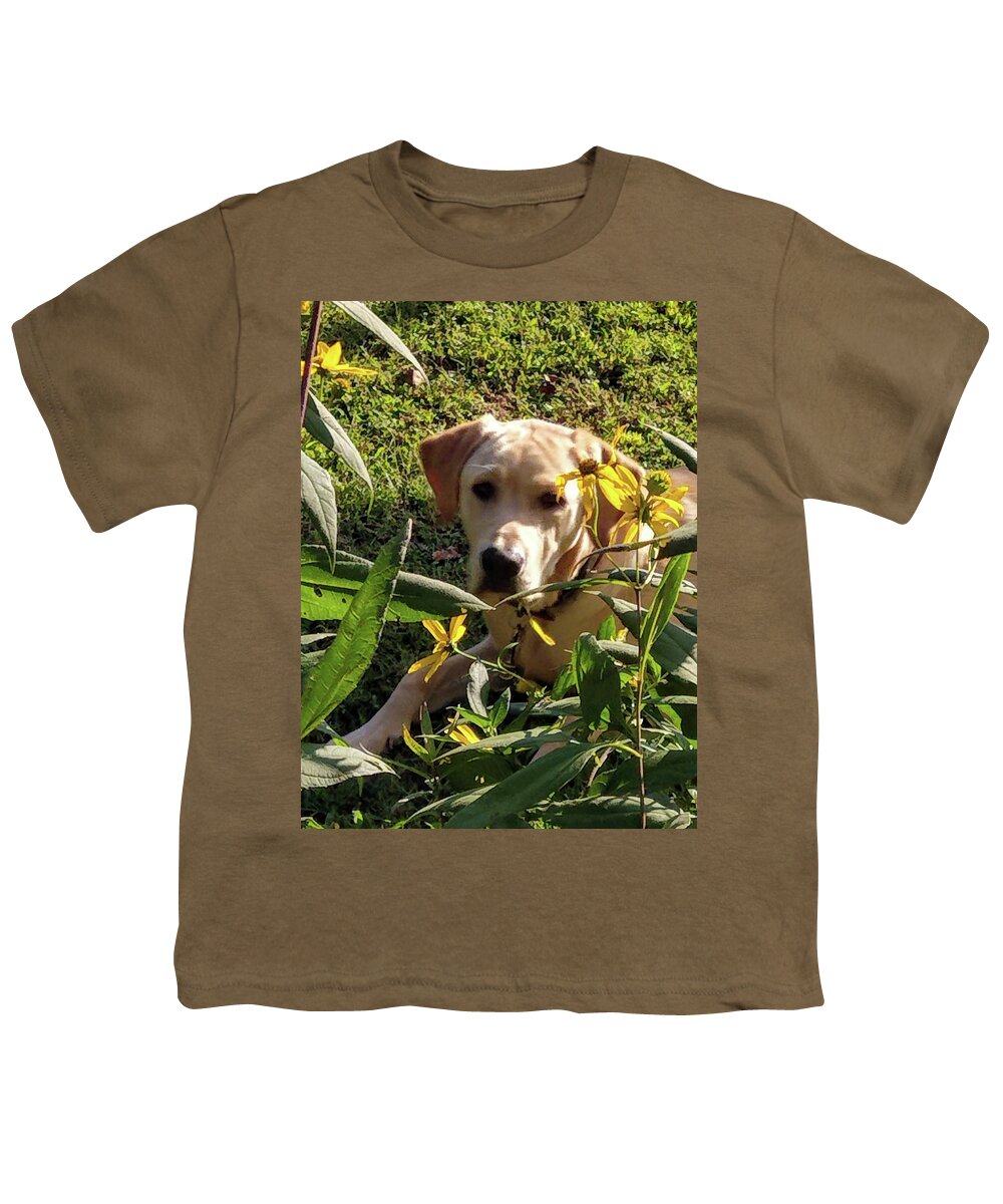 Yellow Lab Youth T-Shirt featuring the photograph Hanging with the Maxamillians by Kim Galluzzo Wozniak