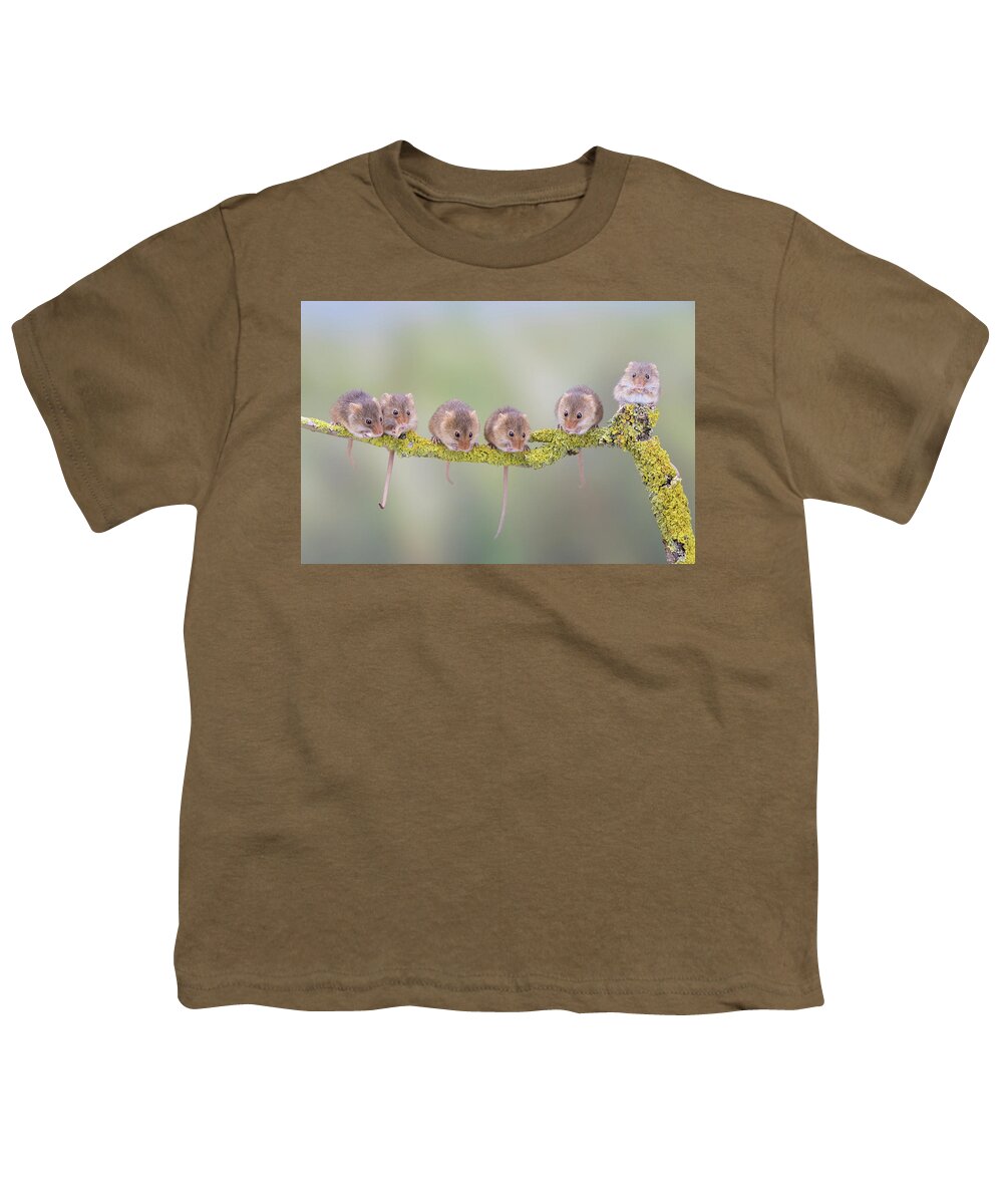 Cute Youth T-Shirt featuring the photograph Harvest mouse gang by Erika Valkovicova