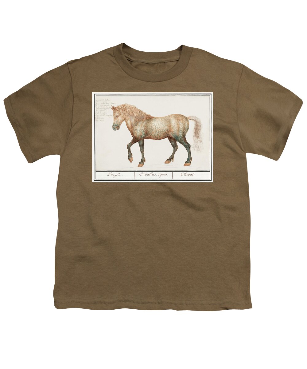 Old Painting Of A Horse Youth T-Shirt featuring the mixed media Horse by World Art Collective