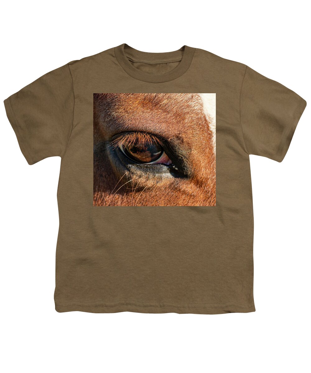 Horse Youth T-Shirt featuring the photograph Horse Eye Close Up by Phil And Karen Rispin