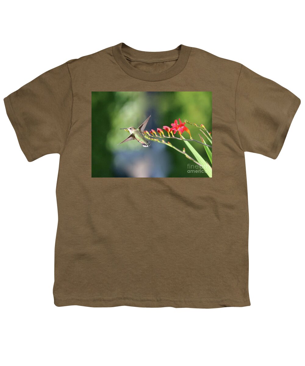 Hummingbird Youth T-Shirt featuring the photograph Hummingbird at Crocosmia 3 by Carol Groenen