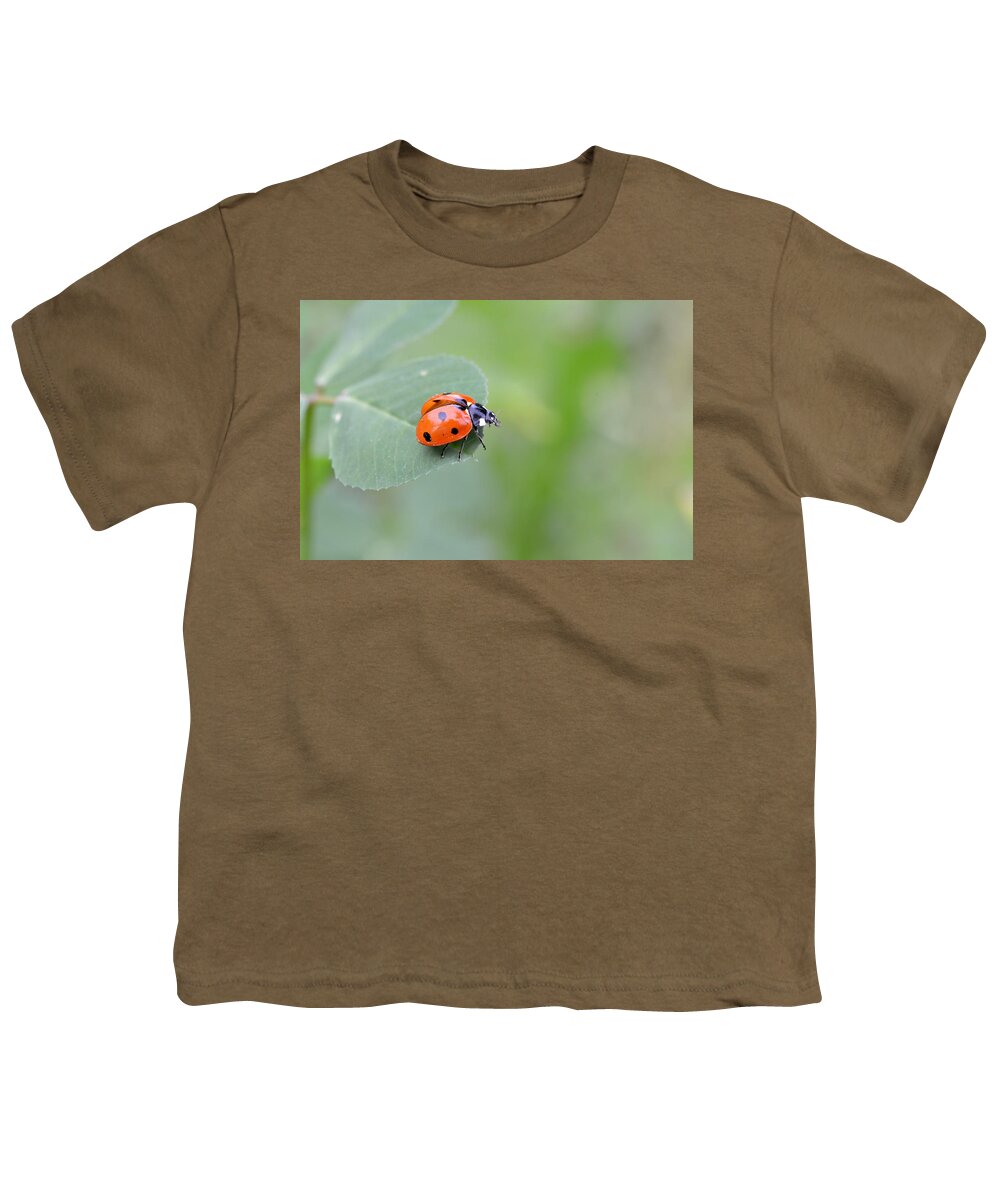 Lady Bug Youth T-Shirt featuring the photograph Lady Bug 2 by Amy Fose