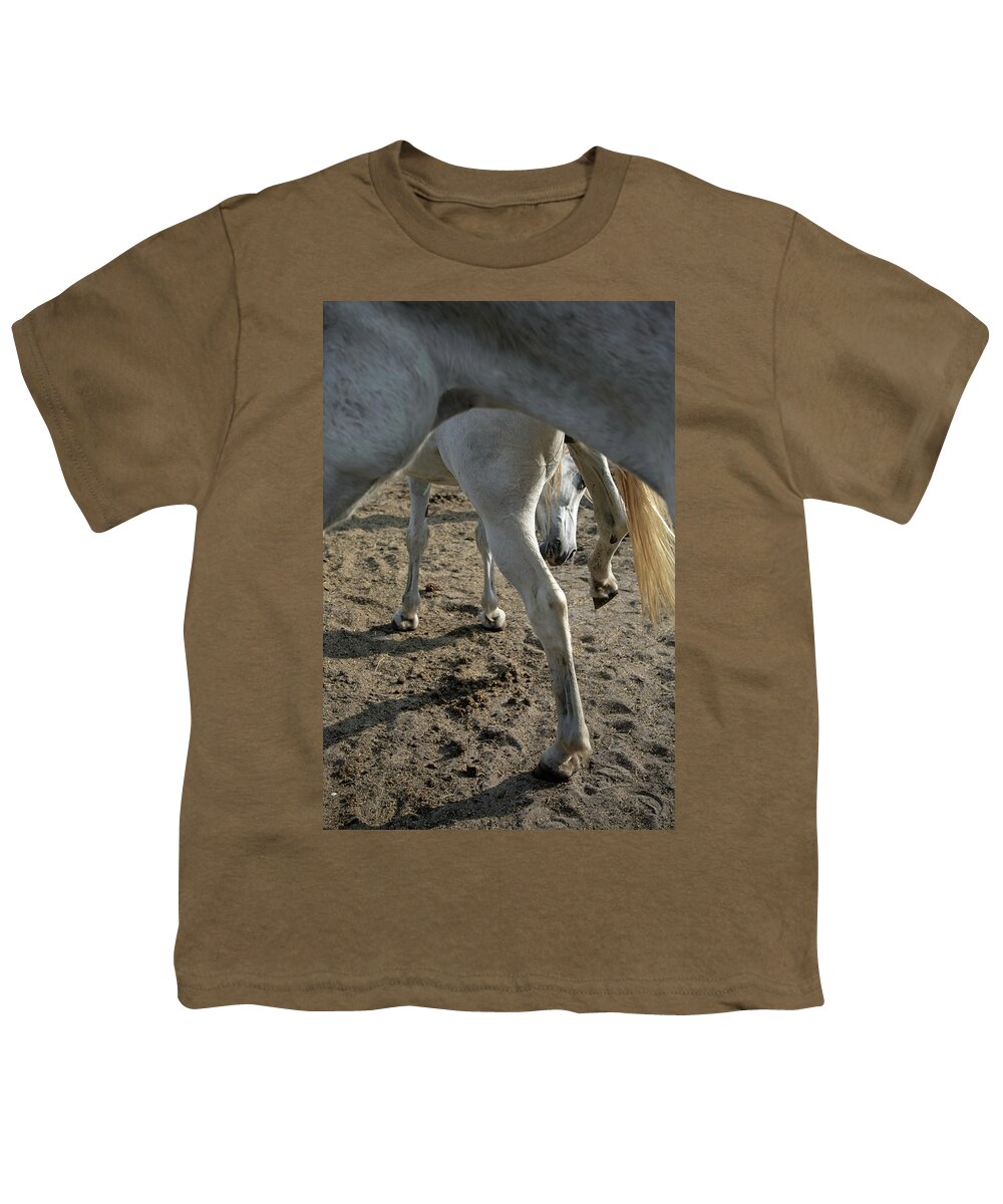 Horses Youth T-Shirt featuring the photograph Layers of Mares by M Kathleen Warren