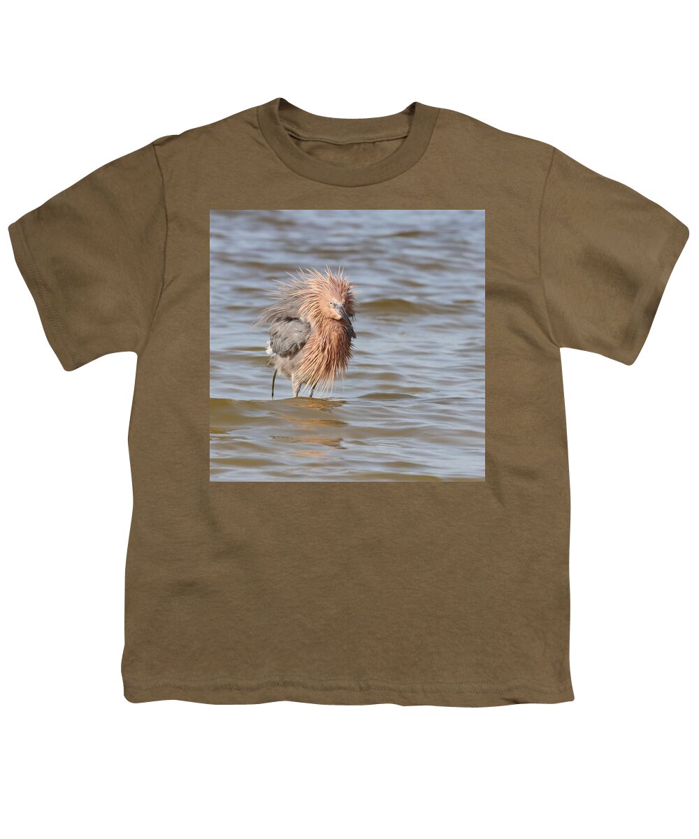 Reddish Egret Youth T-Shirt featuring the photograph Reddish Egret or Lion? by Mingming Jiang