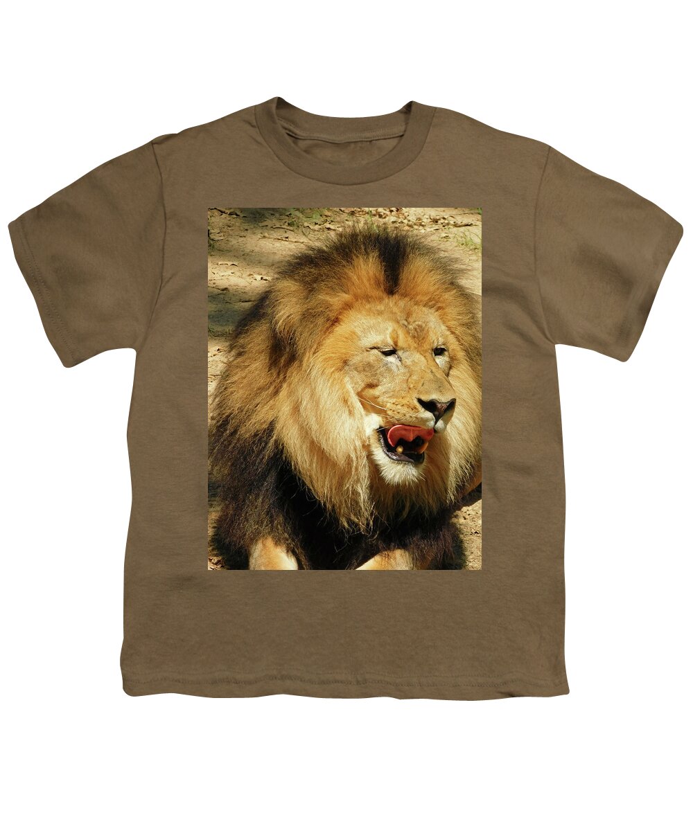 Wildlife Youth T-Shirt featuring the photograph Lion Licking His Chops by Emmy Marie Vickers