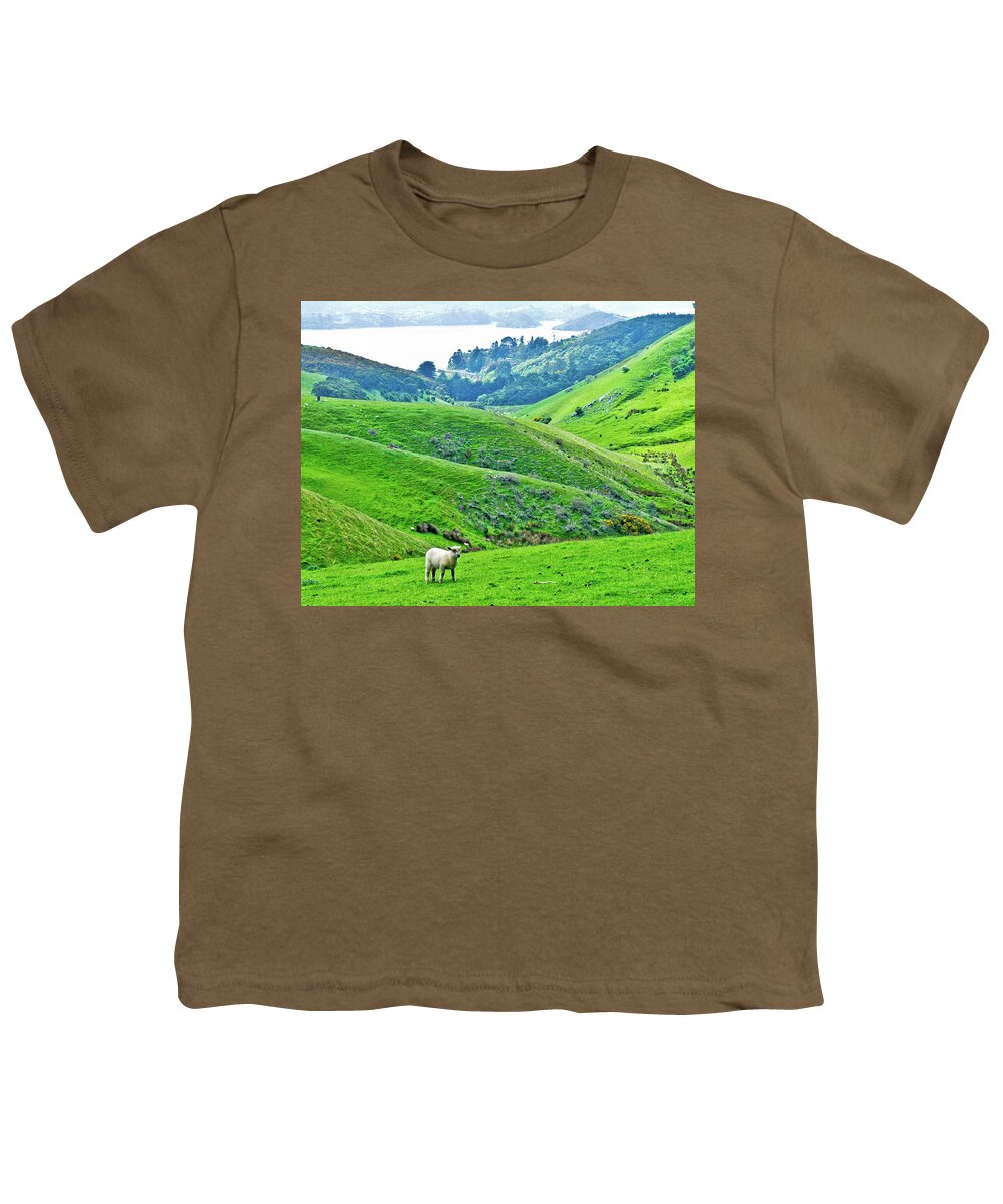 Lone Sheep New Zealand Green Dunedin Hills Youth T-Shirt featuring the photograph Lone Sheep in Dunedin, New Zealand by David Morehead