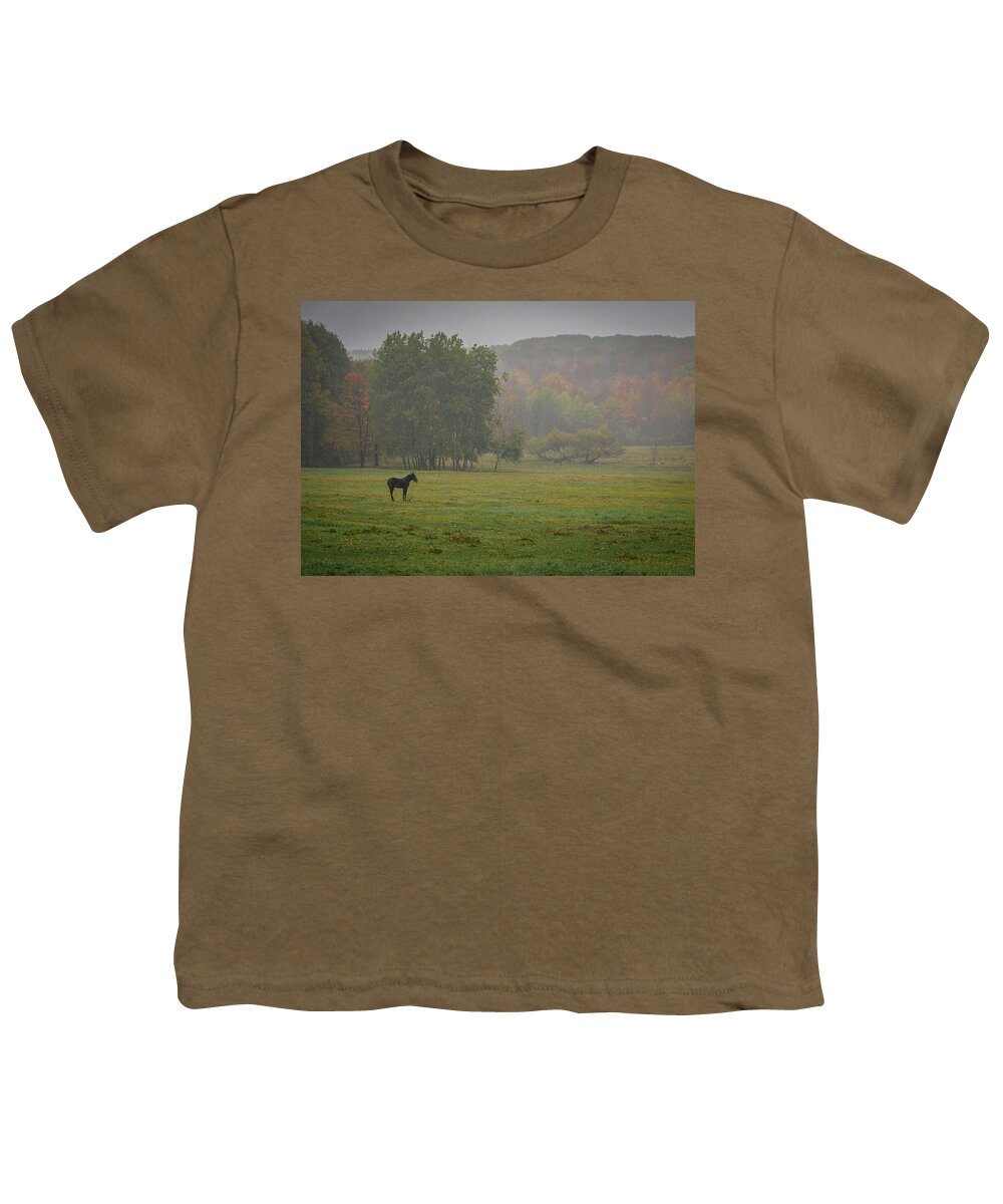 Foal Youth T-Shirt featuring the photograph Lonely Foal by Guy Coniglio