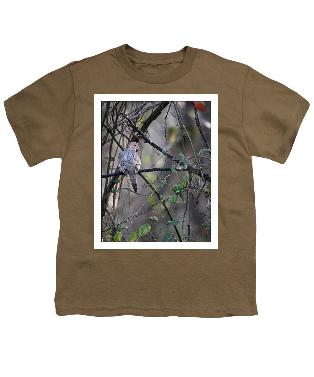 Wildlife Youth T-Shirt featuring the photograph Lonesome Dove by John Benedict