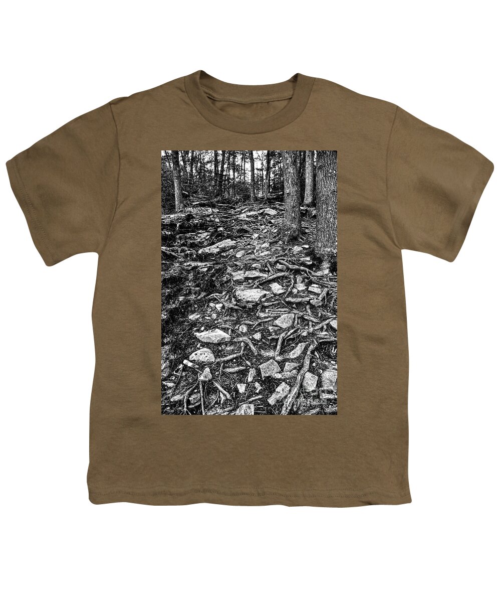 Greeter Falls Youth T-Shirt featuring the photograph Lower Greeter Falls 2 by Phil Perkins