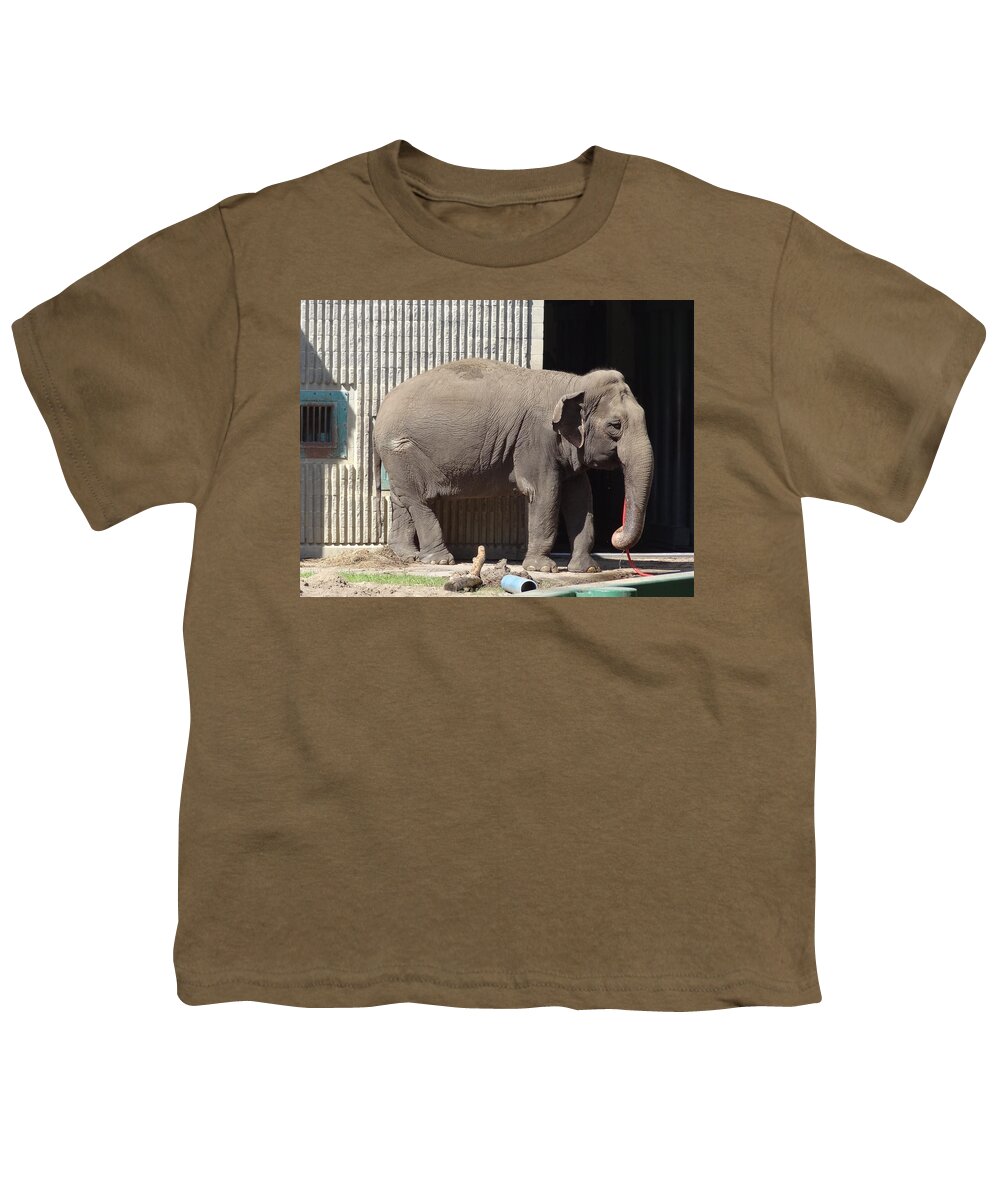 Lucy Youth T-Shirt featuring the photograph Lucy by Lisa Mutch
