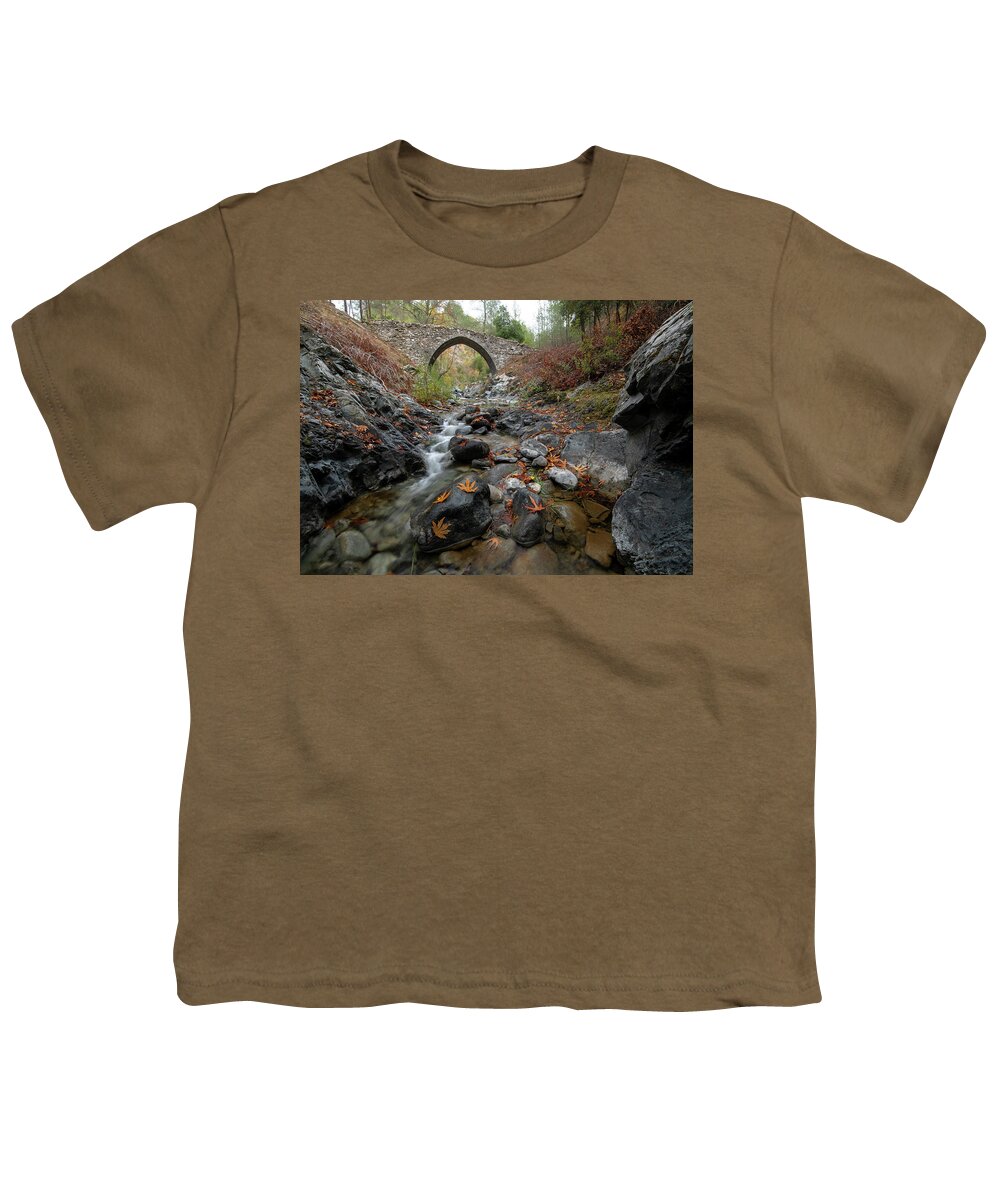 Autumn Youth T-Shirt featuring the photograph Medieval stoned bridge with water flowing in the river in autumn. by Michalakis Ppalis