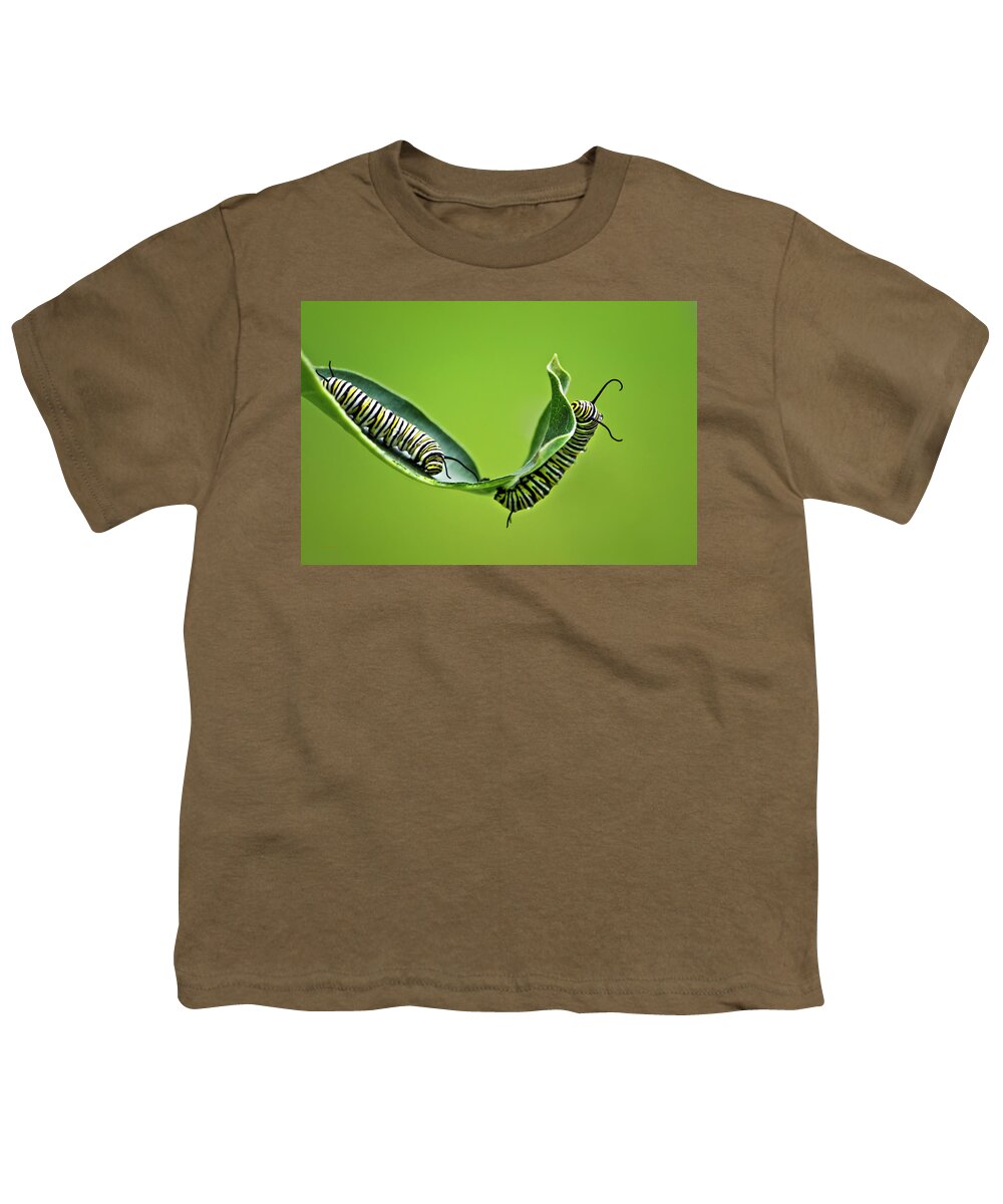 Monarch Caterpillar Youth T-Shirt featuring the photograph Monarch Caterpillars by Christina Rollo