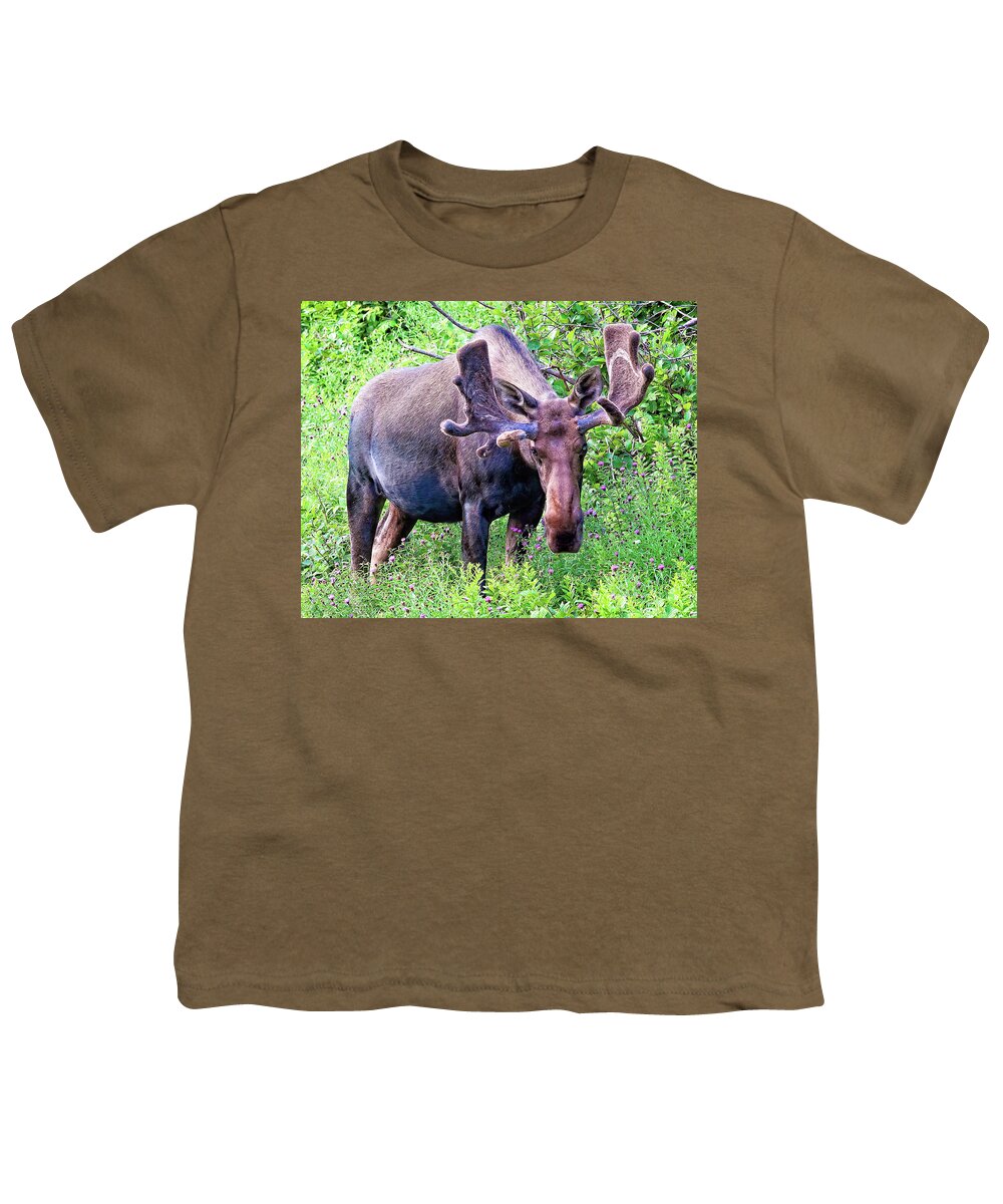 Moose Youth T-Shirt featuring the photograph Moose in Nova Scotia, Canada by Tatiana Travelways