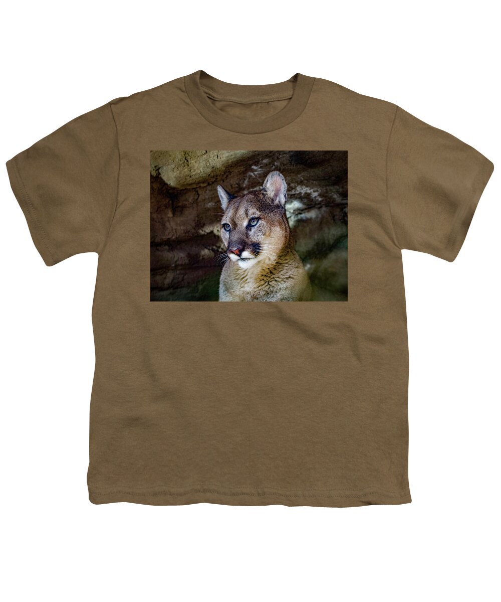 Mountain Lion Youth T-Shirt featuring the photograph Mountain Lion by Shirley Dutchkowski