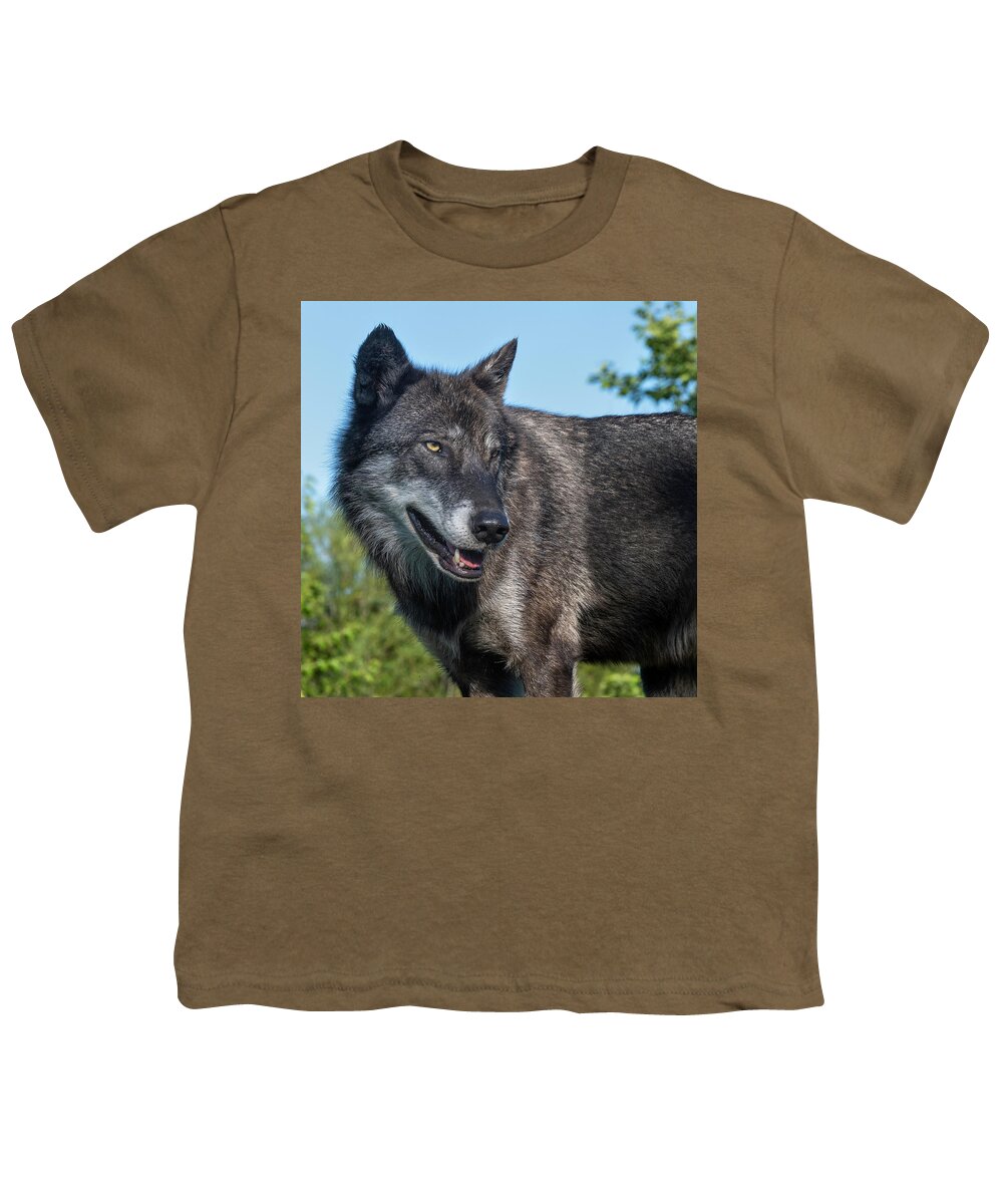 Wolf Youth T-Shirt featuring the photograph Mr Wolf by Laura Hedien