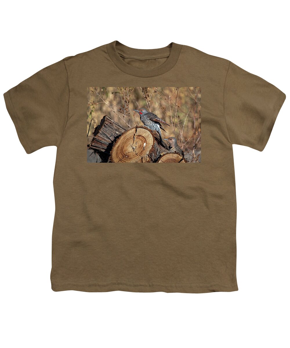 Northern Flicker Woodpecker Youth T-Shirt featuring the photograph Northern Flickers by Rick Mosher