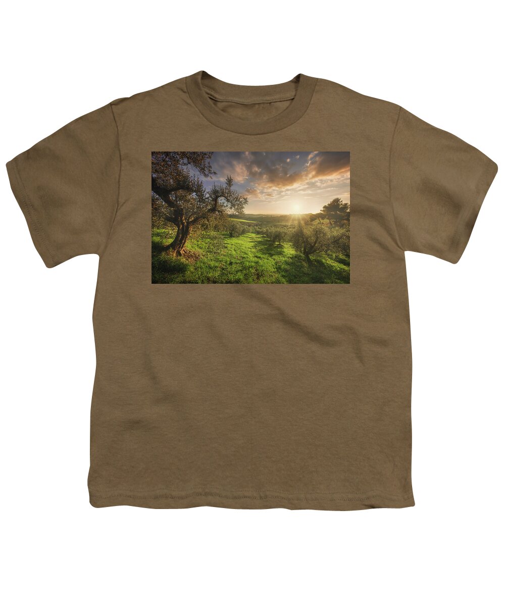 Olive Youth T-Shirt featuring the photograph Olive grove in Alta Maremma. Tuscany by Stefano Orazzini