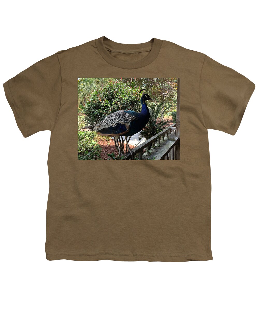 Nc Youth T-Shirt featuring the photograph Peacock Hostess by Lee Darnell