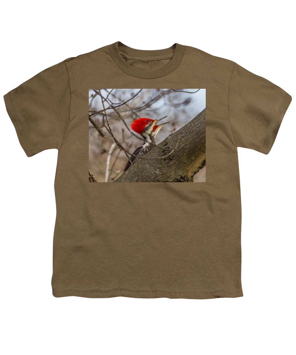Woodpecker Youth T-Shirt featuring the photograph Pileated Portrait by Kevin Craft