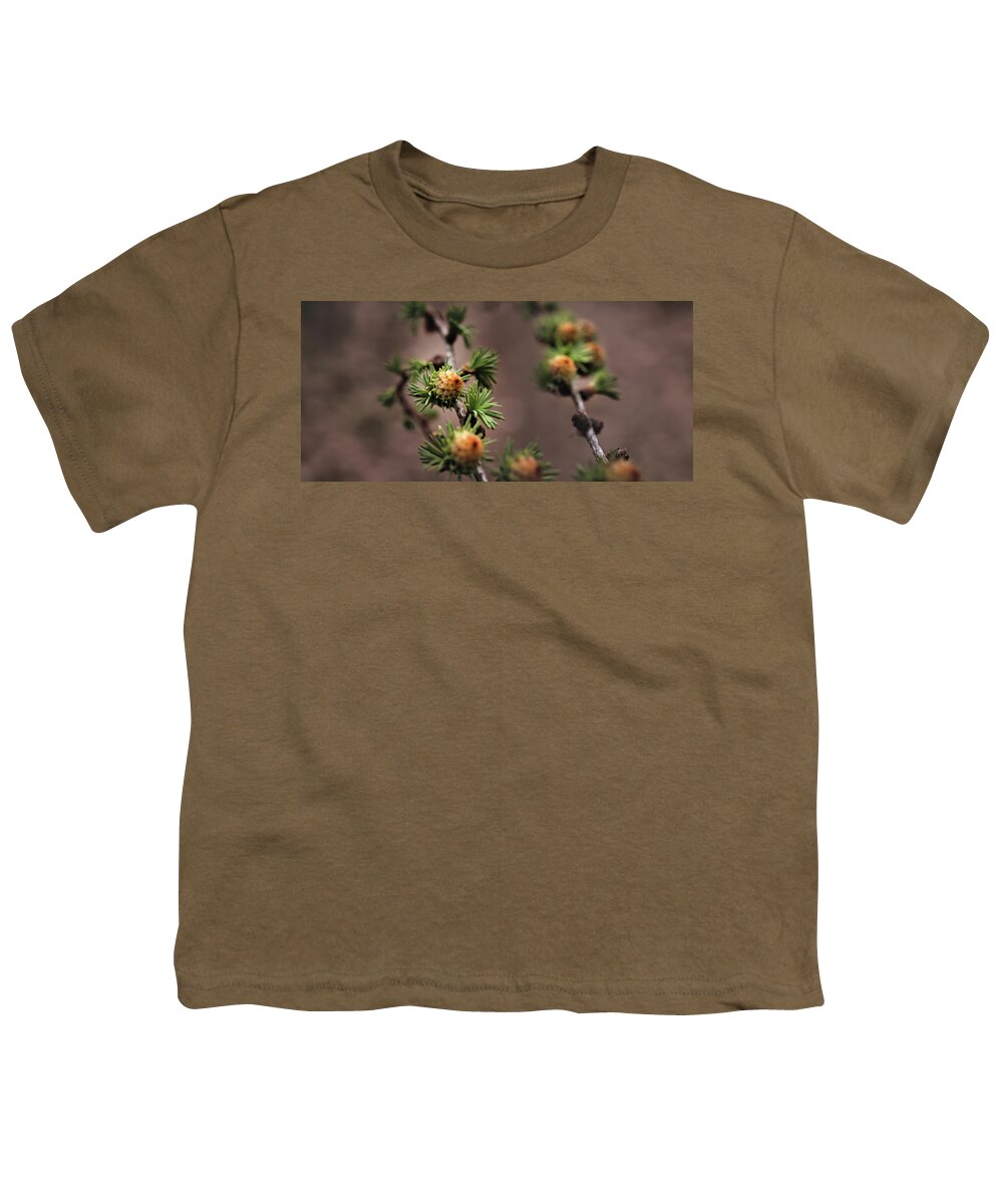 Tree Youth T-Shirt featuring the photograph Pine cones by M Fotograaf