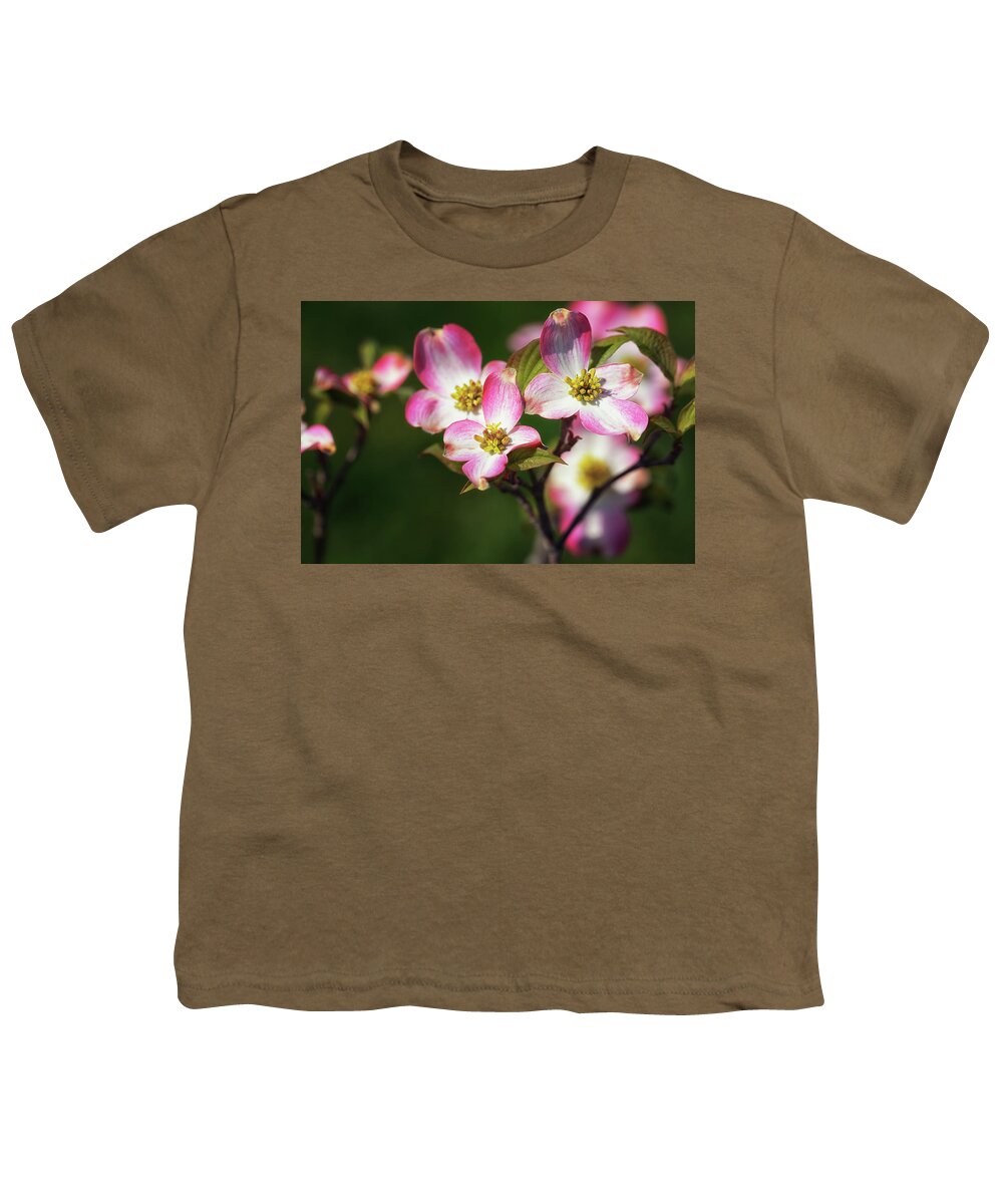 Pink Dogwood Youth T-Shirt featuring the photograph Pink Dogwood Blossoms by Susan Rissi Tregoning