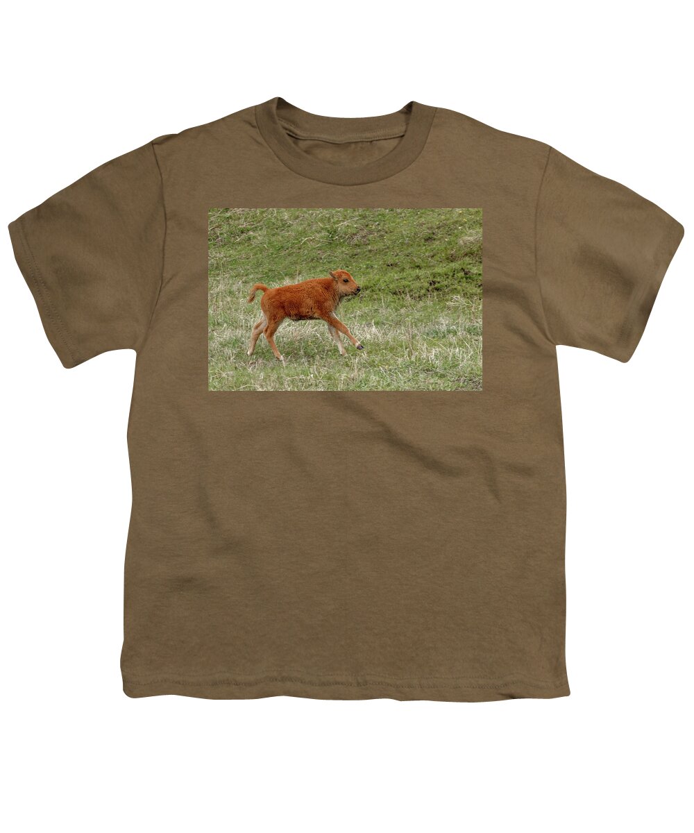 Bison Youth T-Shirt featuring the photograph Playful by Ronnie And Frances Howard