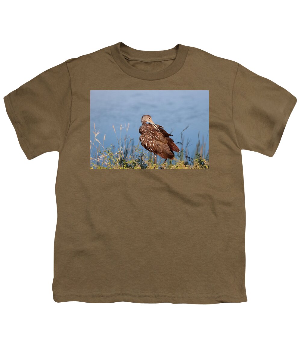 Limpkins Youth T-Shirt featuring the photograph Pluming Limpkin by Mingming Jiang