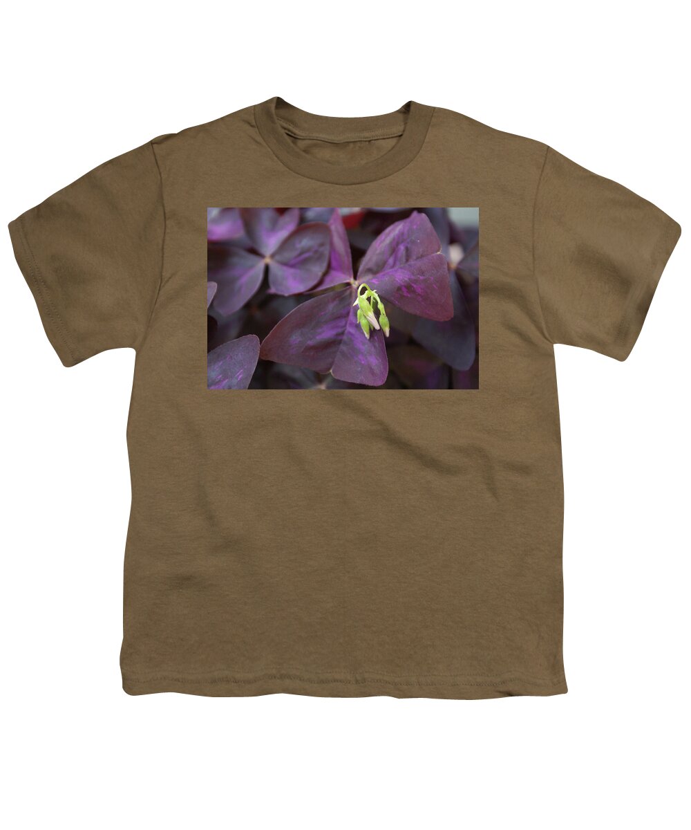  Youth T-Shirt featuring the photograph Purple Shamrock Buds by Heather E Harman