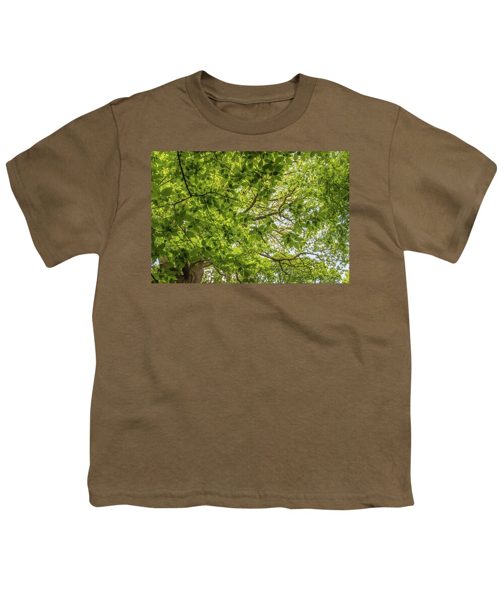 Queen's Wood Youth T-Shirt featuring the photograph Queen's Wood Trees Spring 5 by Edmund Peston