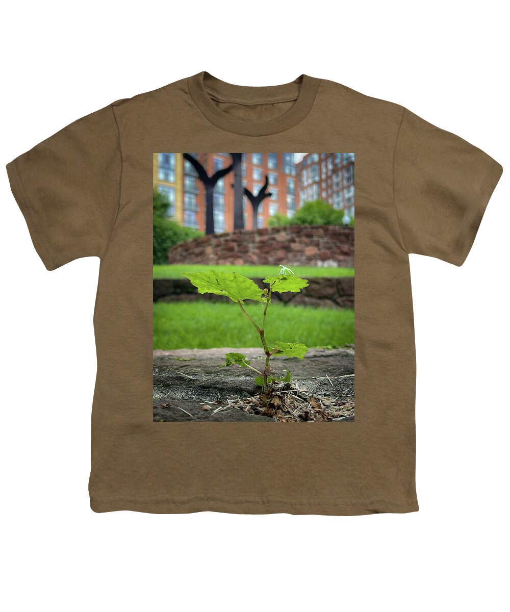 Trees Youth T-Shirt featuring the photograph Reaching Up by Lora J Wilson