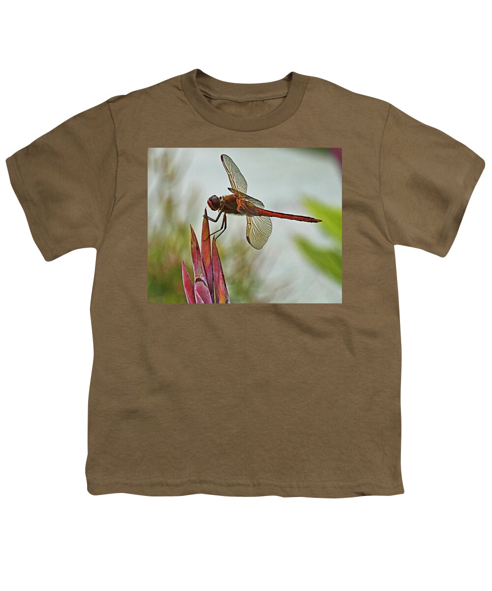 Dragonfly Youth T-Shirt featuring the photograph Ready for takeoff by Bill Barber