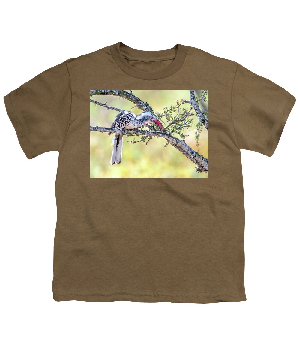 Large Birds Youth T-Shirt featuring the photograph Red Billed Hornbill, Kruger National Park by Marcy Wielfaert