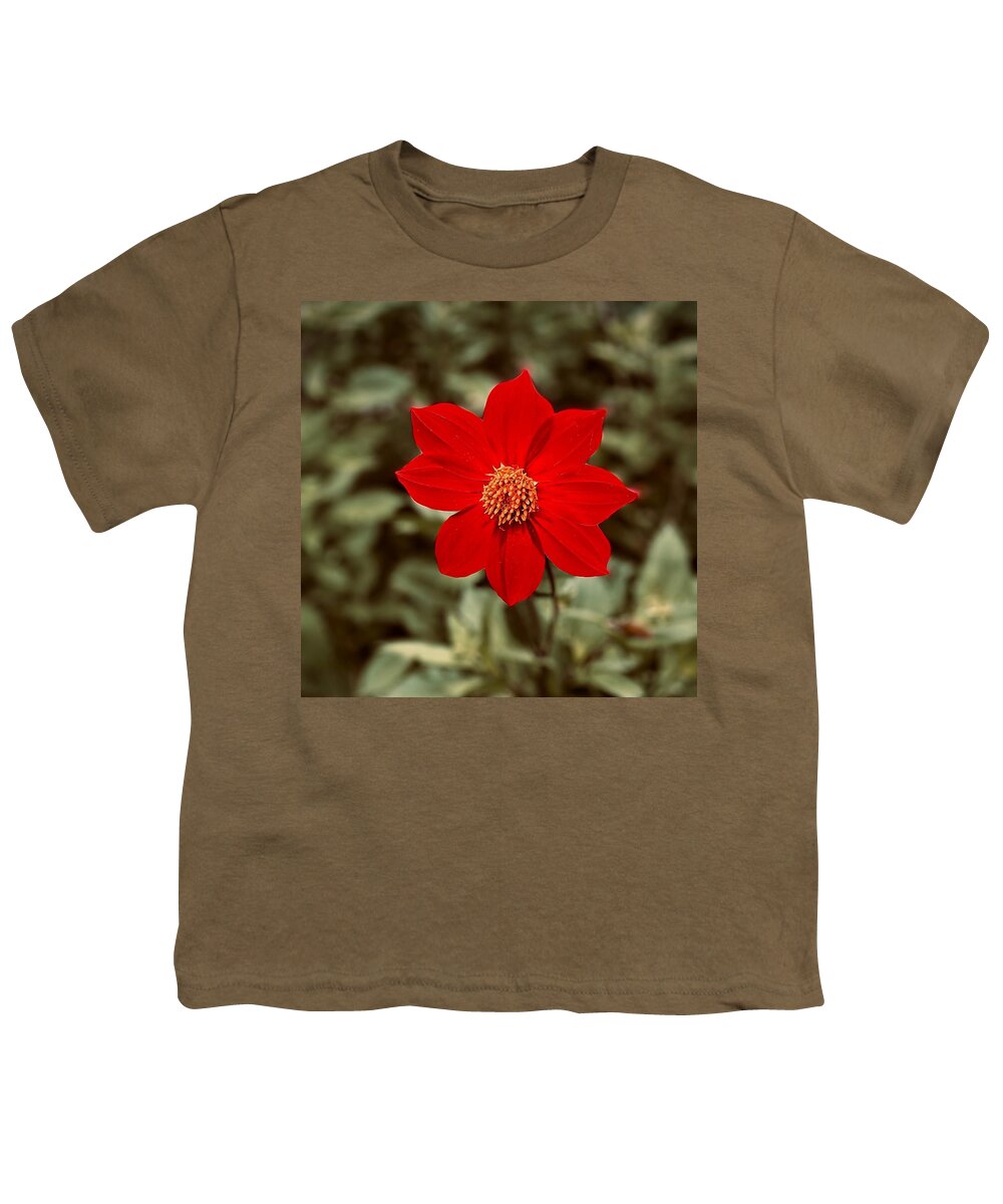 Red Youth T-Shirt featuring the photograph Red Dahlia by Jerry Abbott