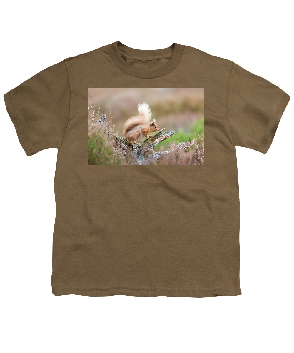 Animal Youth T-Shirt featuring the photograph Red Squirrel, Cairngorms by Anita Nicholson