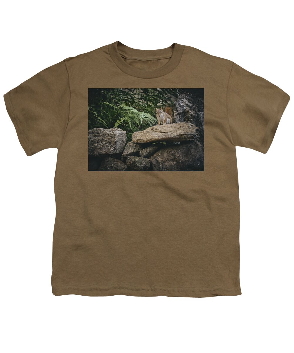 Red Squirrels Youth T-Shirt featuring the photograph Red Squirrels rock wall 1 by Bob Orsillo