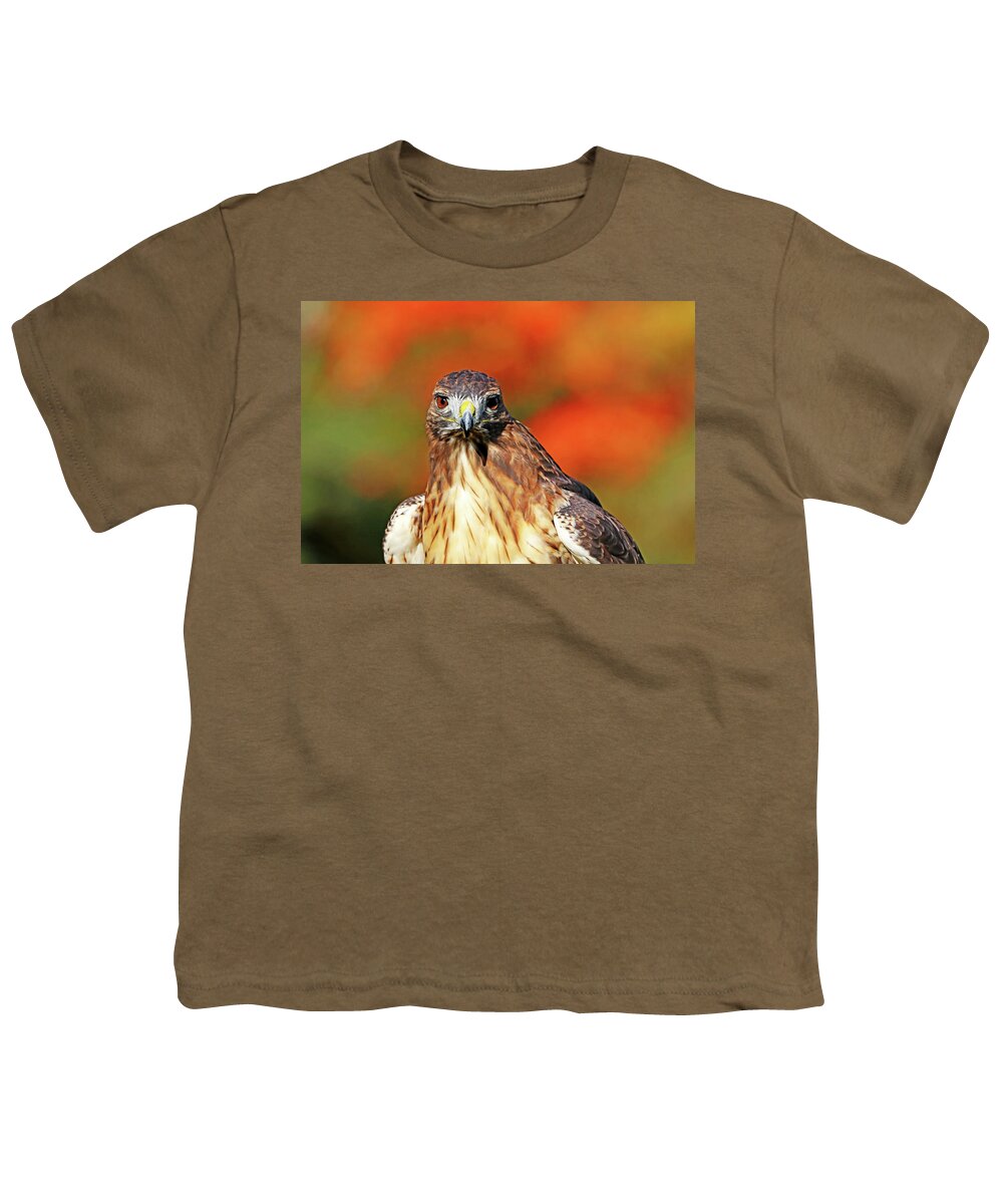 Red Tailed Hawk Youth T-Shirt featuring the photograph Red Tailed Hawk Stare by Debbie Oppermann